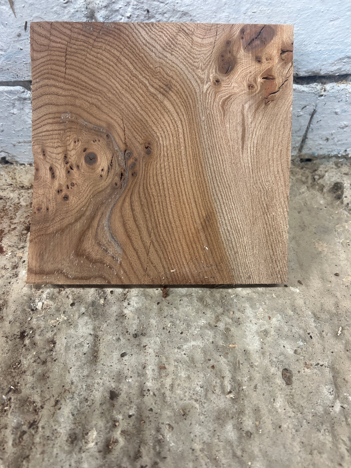 Elm No 72 - 170x170x20mm Sawn