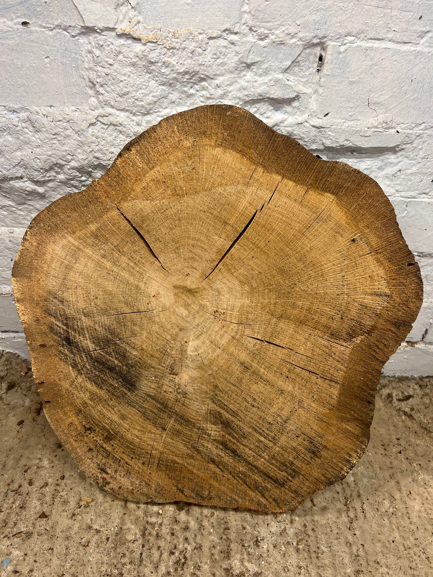 Oak round- 440x430x70mm Sawn