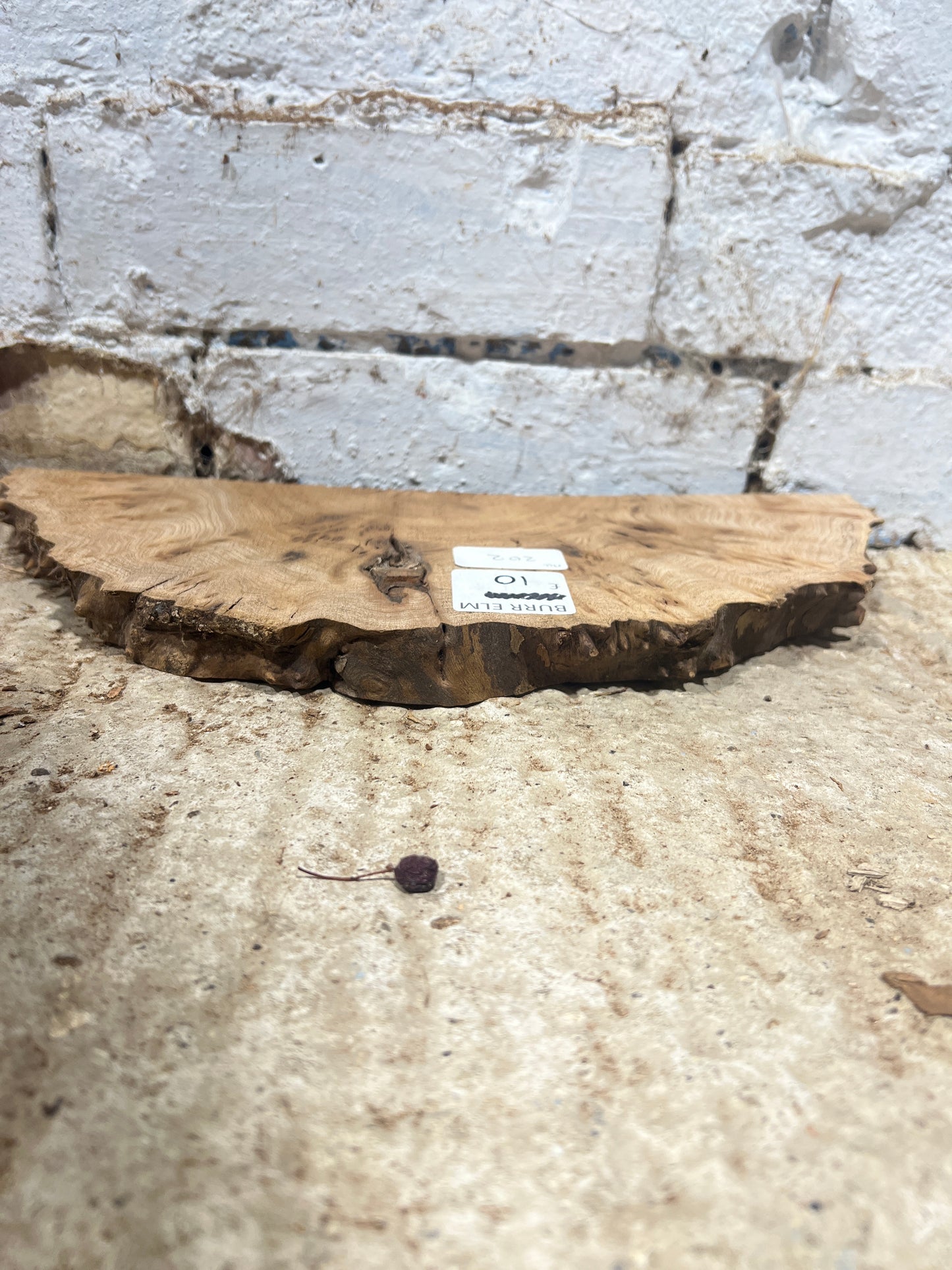 Burr Elm No 202 - 340x140x25mm Sawn