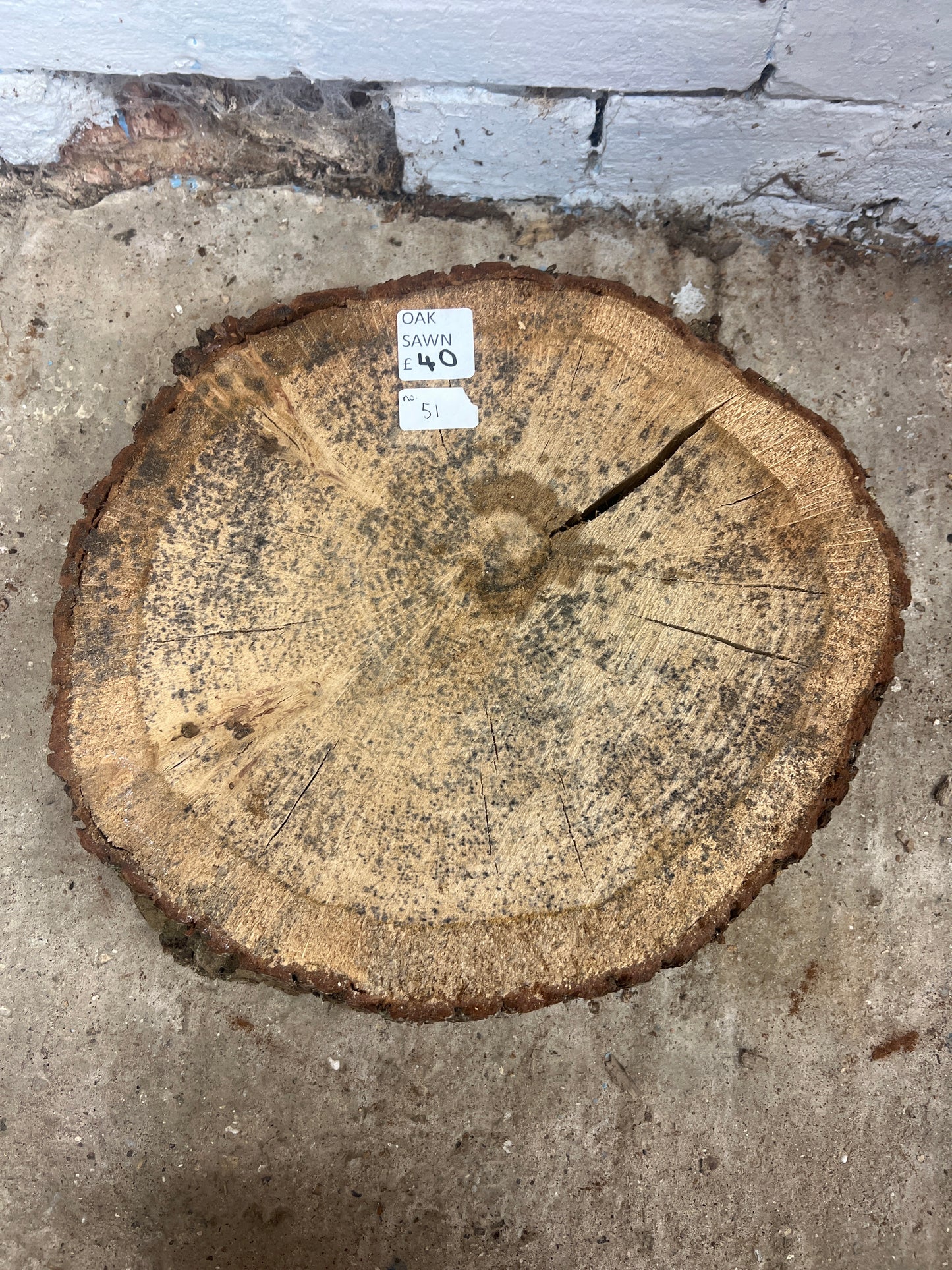 Oak Round No 51 - 350x400x80mm Sawn