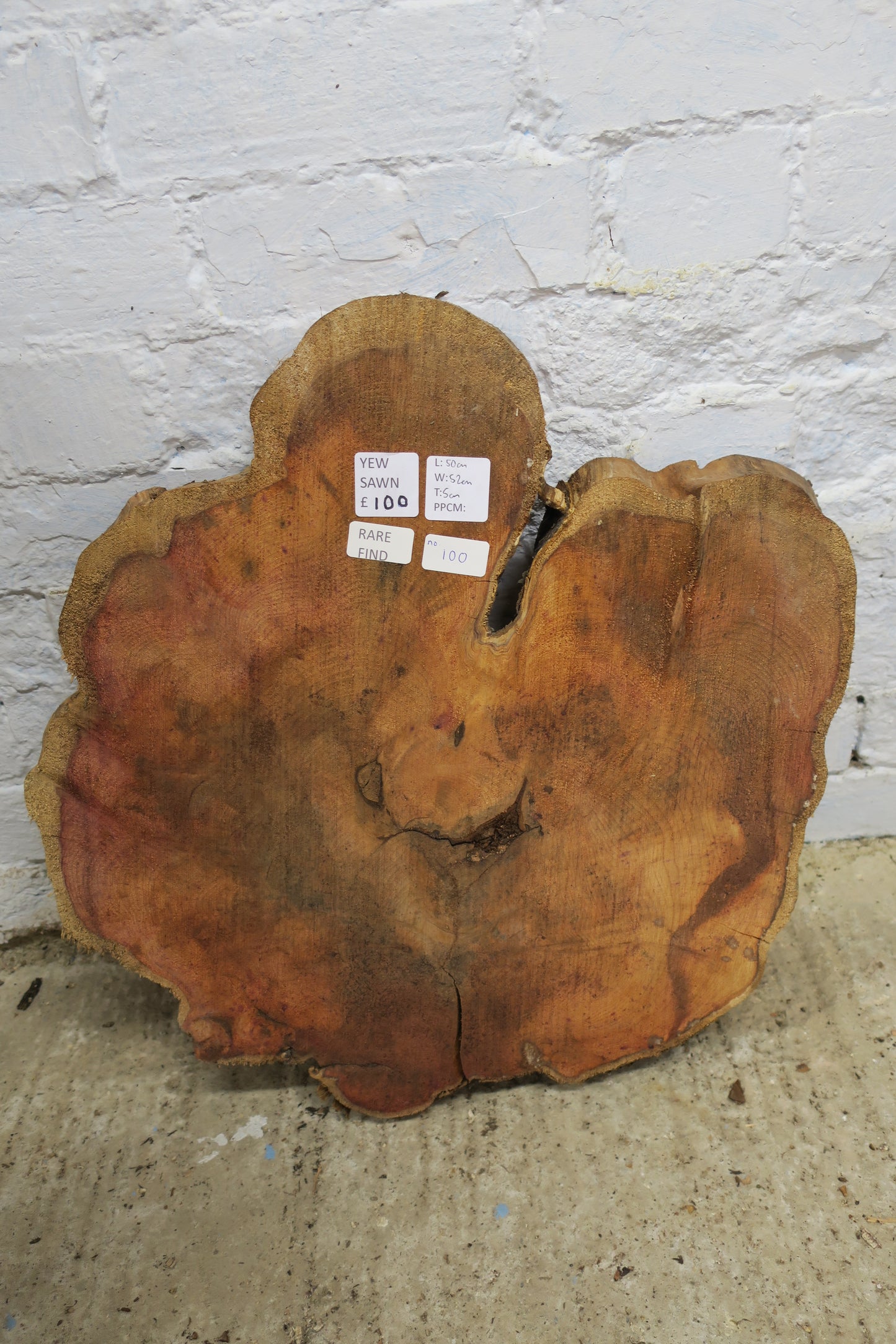 Yew No 100 - 500x520x50mm Planed