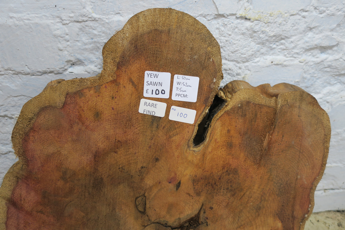 Yew No 100 - 500x520x50mm Planed