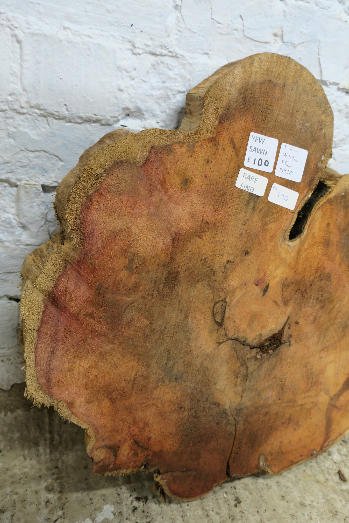 Yew No 100 - 500x520x50mm Planed