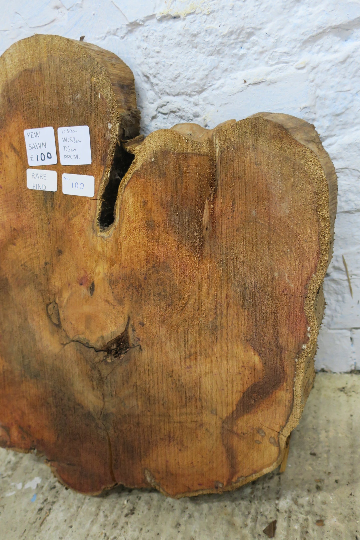 Yew No 100 - 500x520x50mm Planed