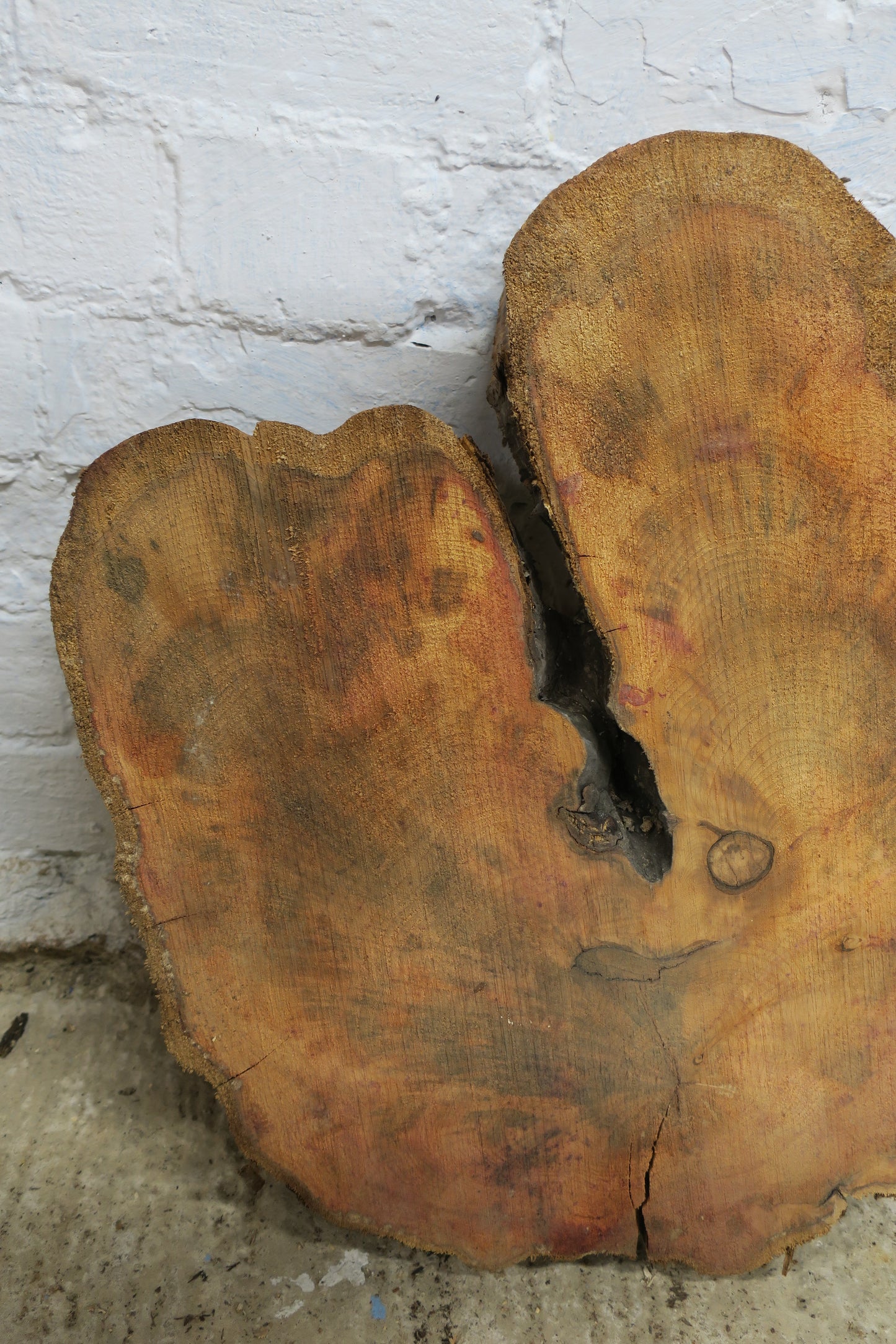 Yew No 100 - 500x520x50mm Planed