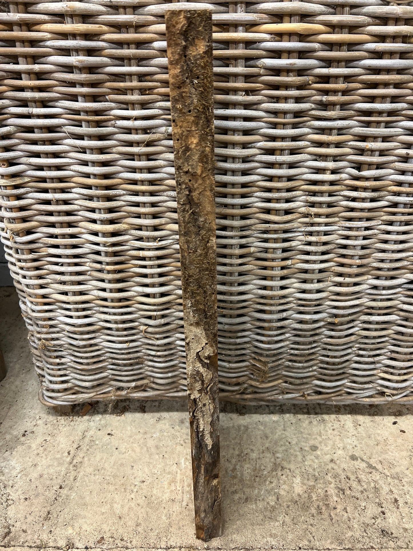 Ash No 31 - 650x138-185x38mm Planed