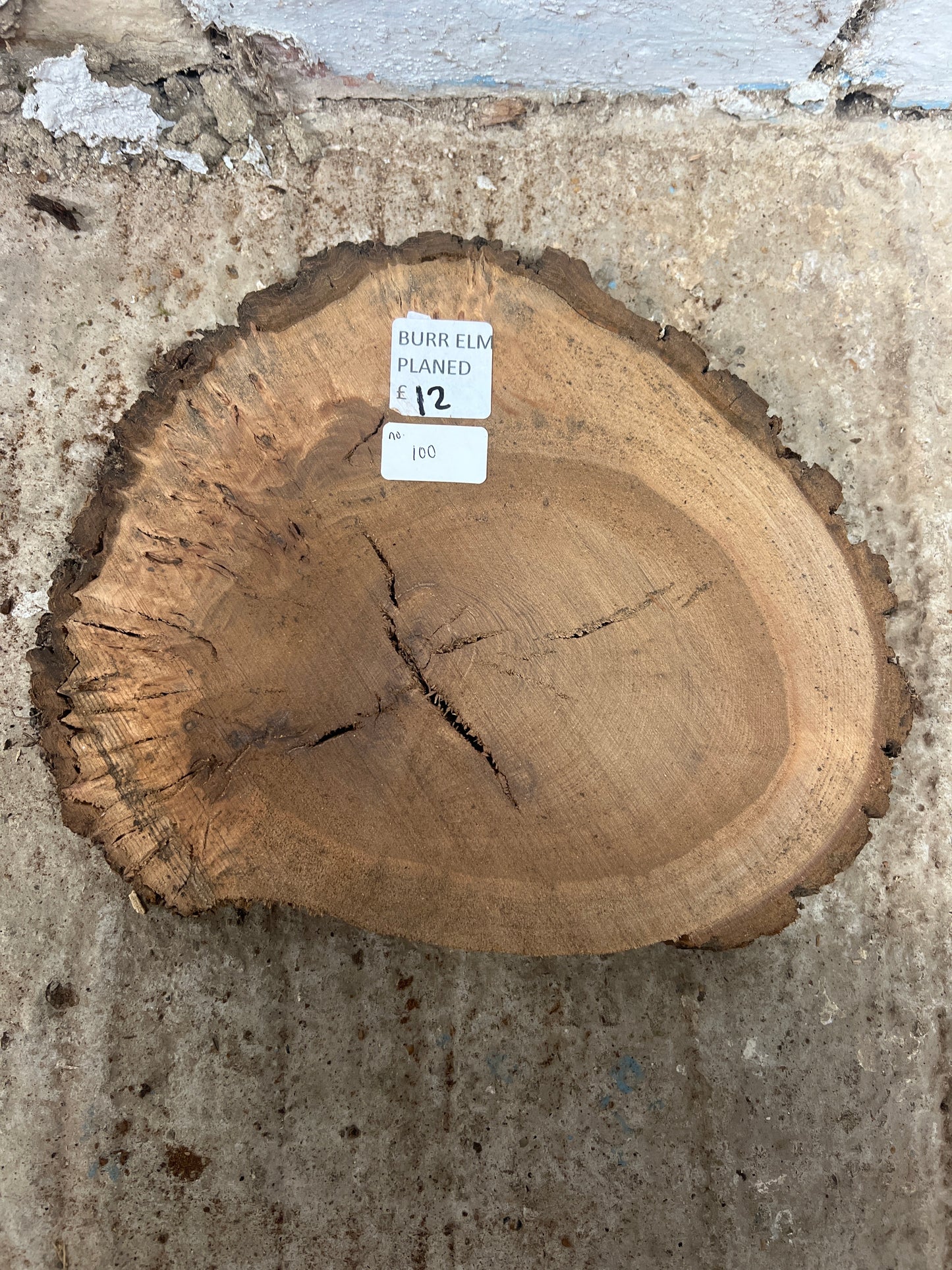 Burr Elm No 100 - 300x260x30mm Sawn