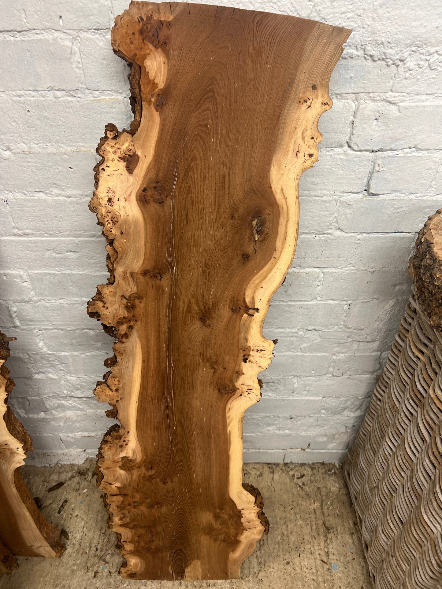 Burr Elm No 58 - 1200x240-360x33mm Planed