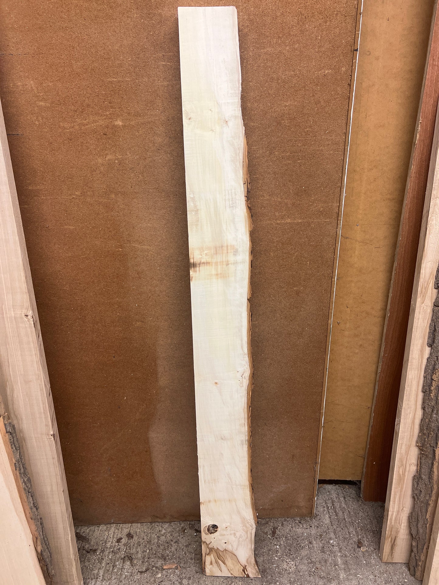 Horse Chestnut No 63 - 1565x120-170x48mm Planed