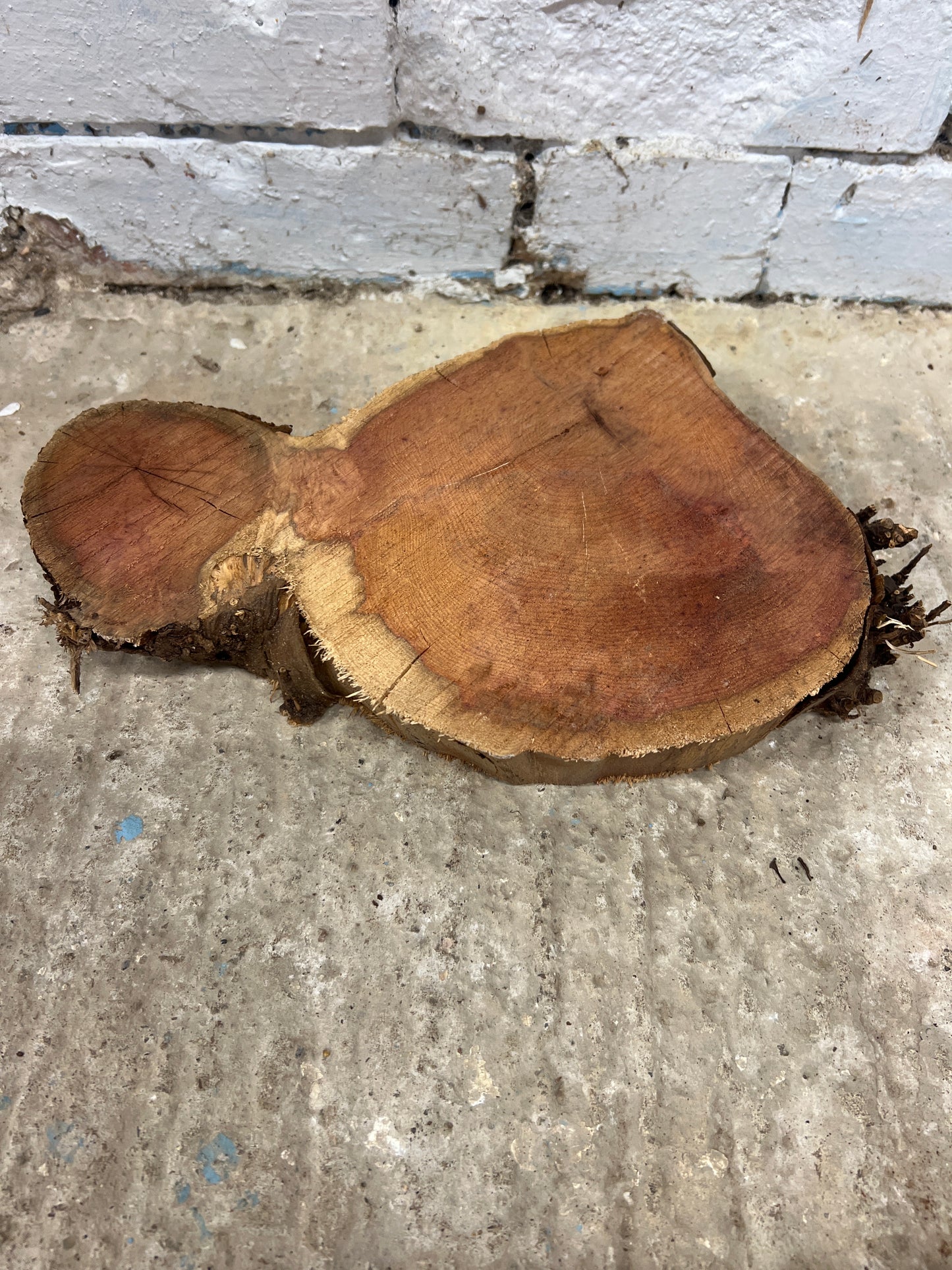 Yew No 107 - 210x330x52mm Sawn