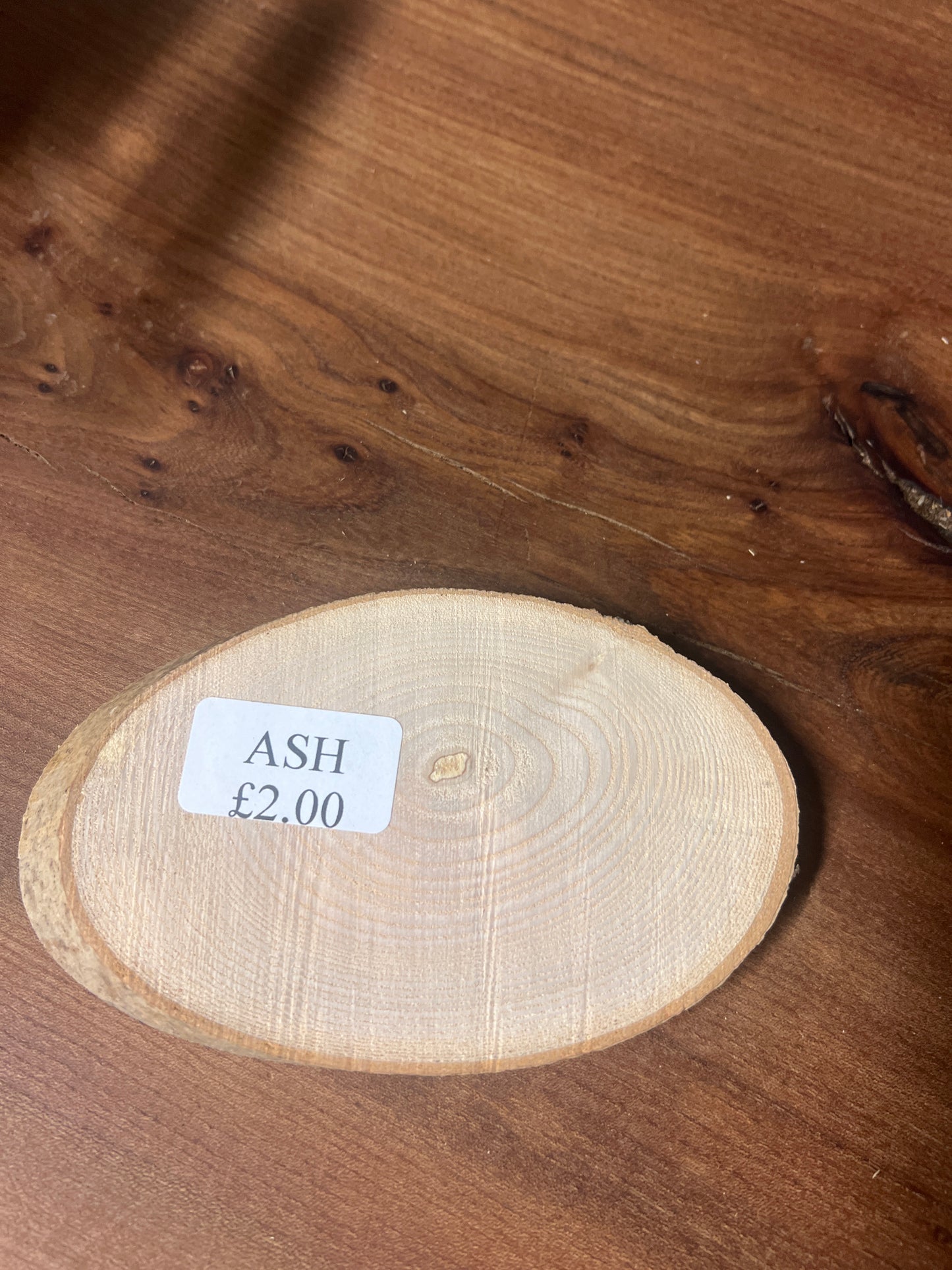 Ash rounds £2 - 140x85x15mm Sawn