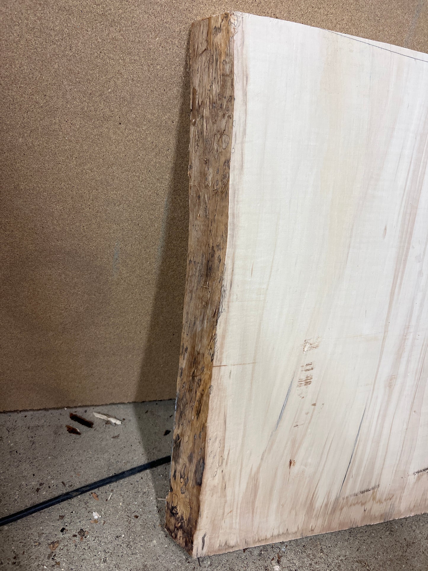 Horse Chestnut No 129 - 555x520-550x46mm Planed