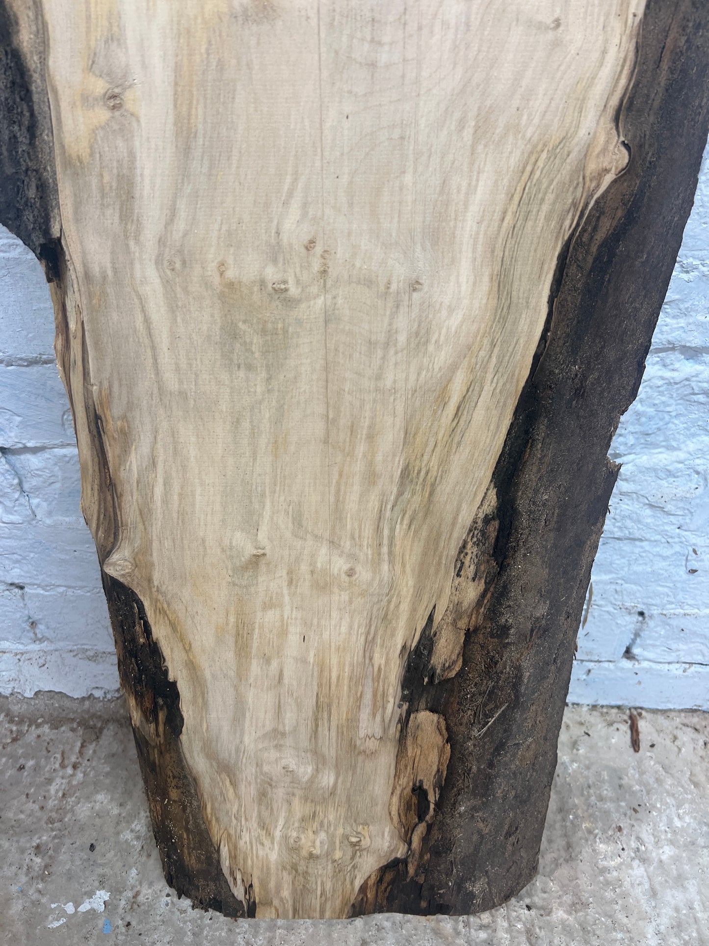 Sycamore No 80 - 1185x300-430x37mm Planed