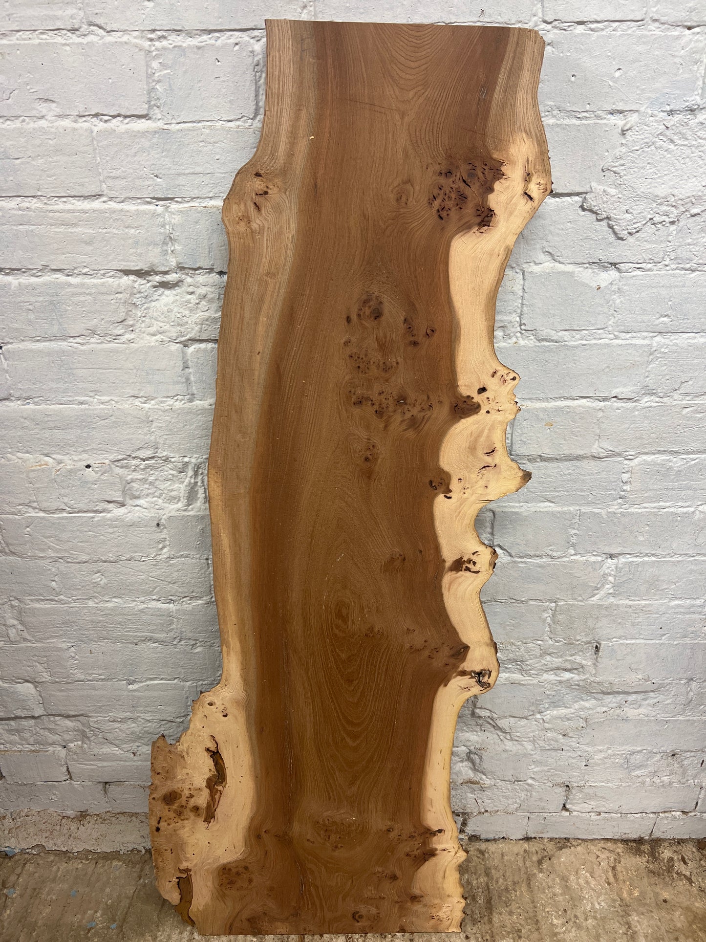 Burr Elm No 226 - 1310x270-490x40mm Planed