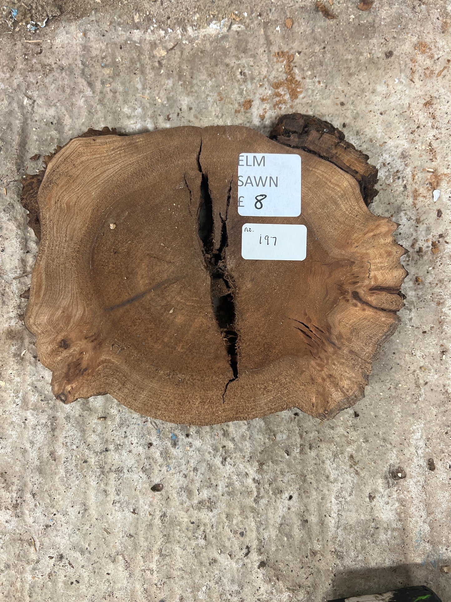 Elm No 197 - 230x175x40mm Sawn