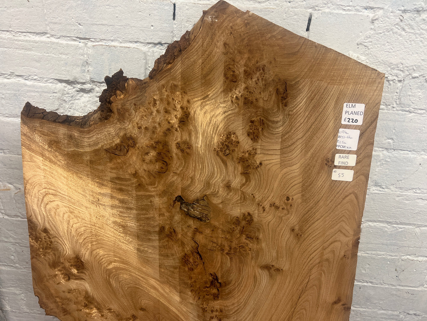 Elm No 55 - 1240x510-640x25mm Planed