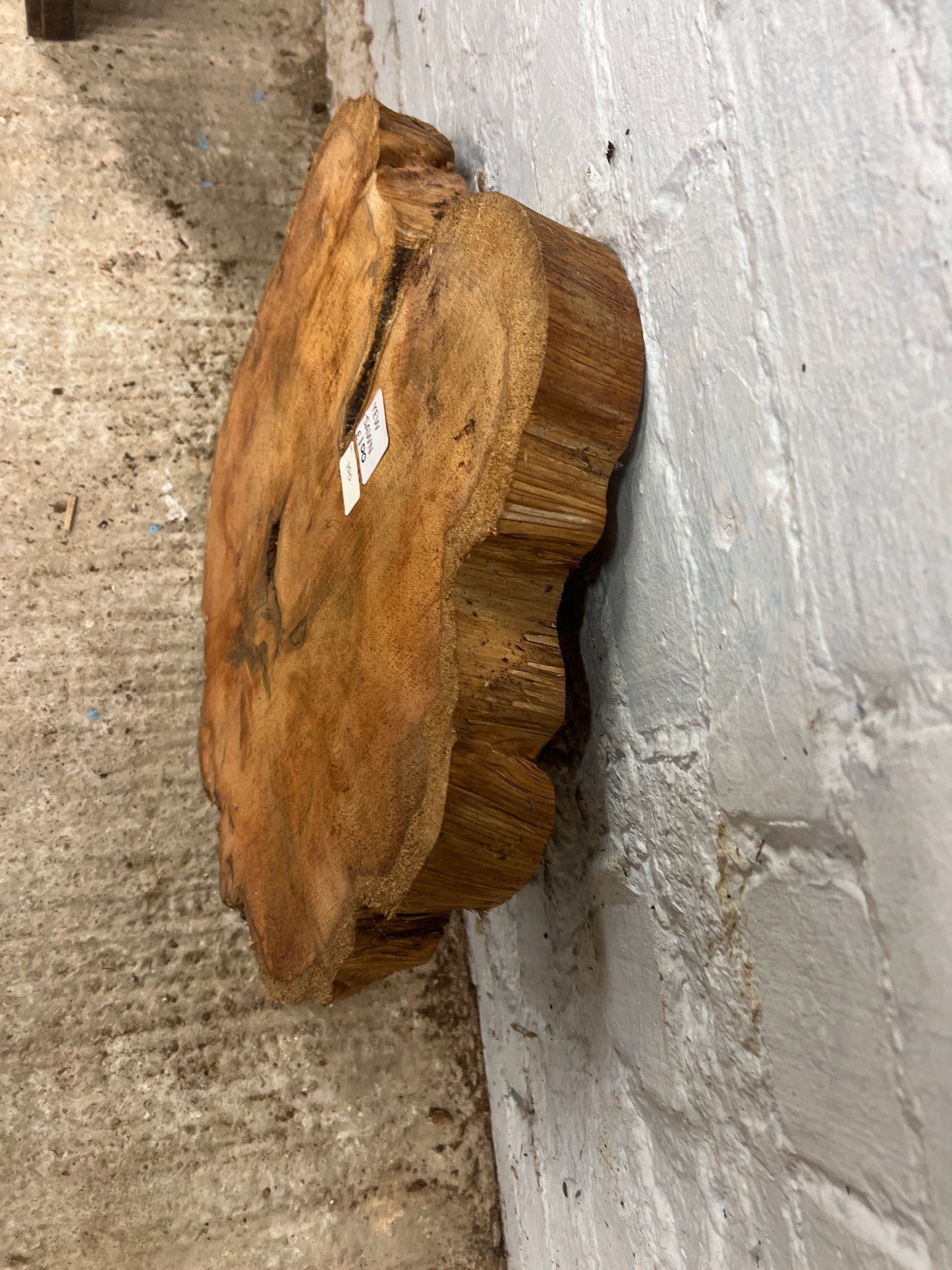 Yew No 100 - 500x530x55mm Sawn