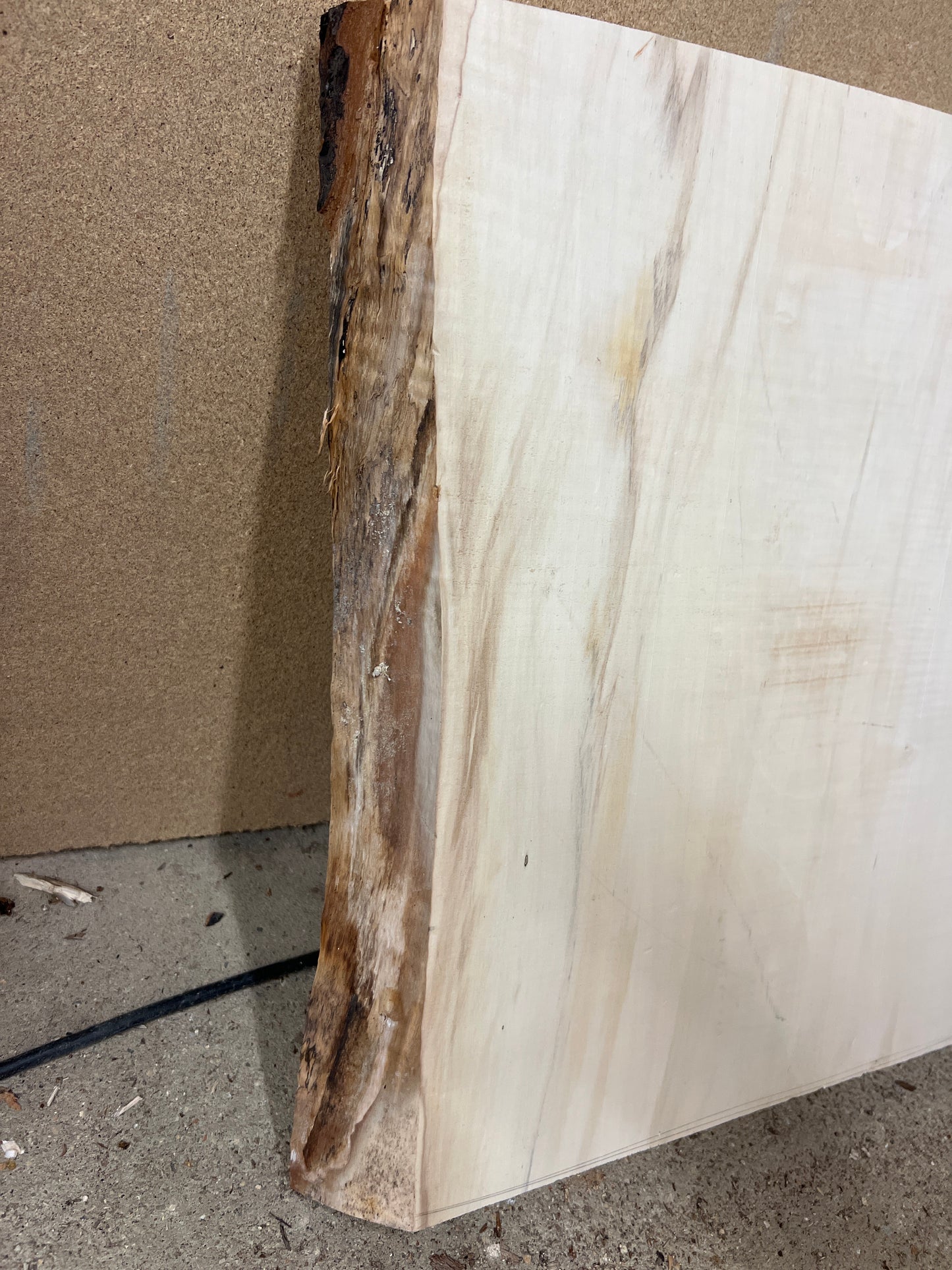 Horse Chestnut No 126 - 485x460-490x46mm Planed