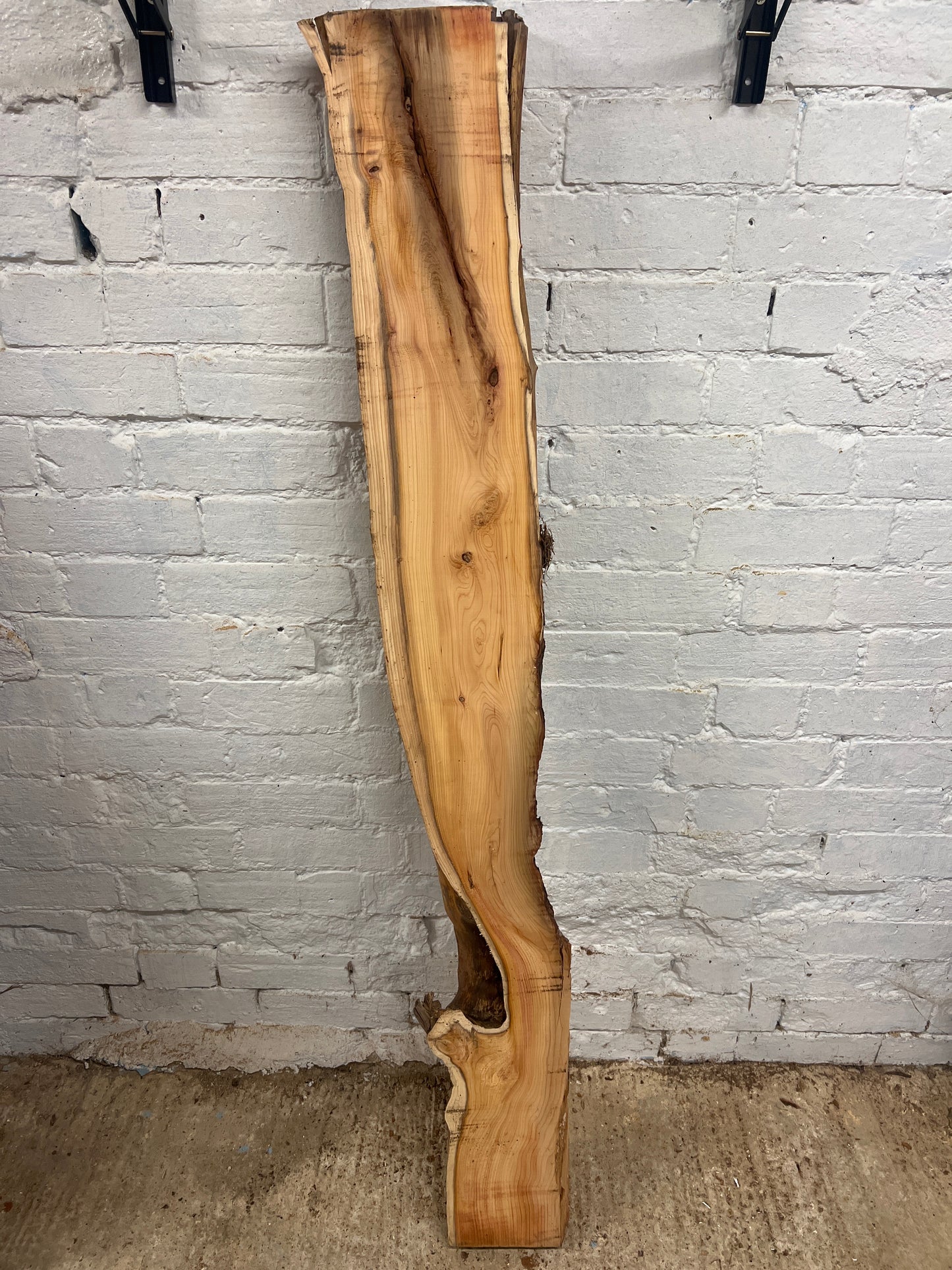 Yew No 81 - 1460x100-180x55mm Planed