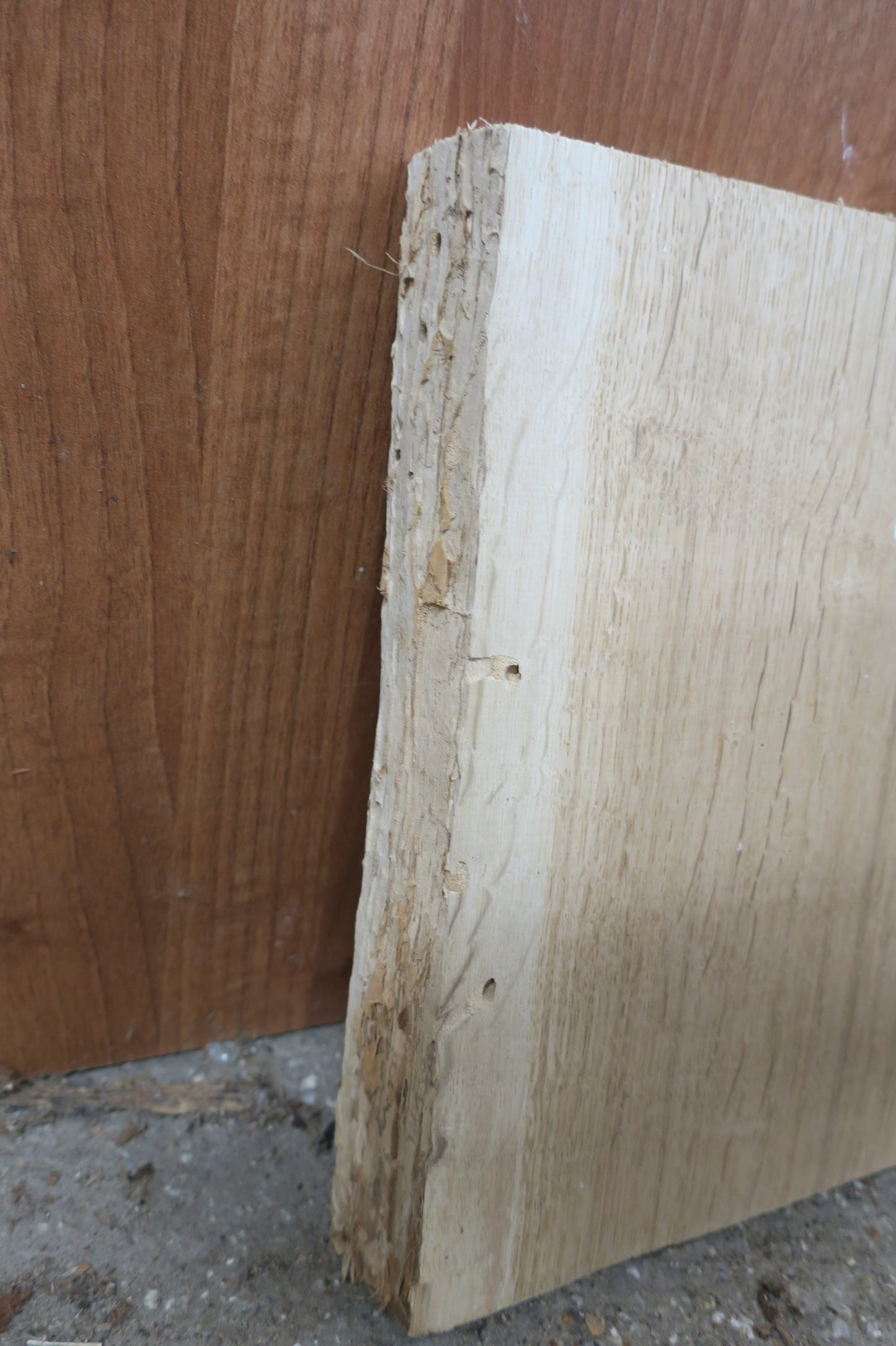 Oak No 42 - 305x235-345x40mm Planed
