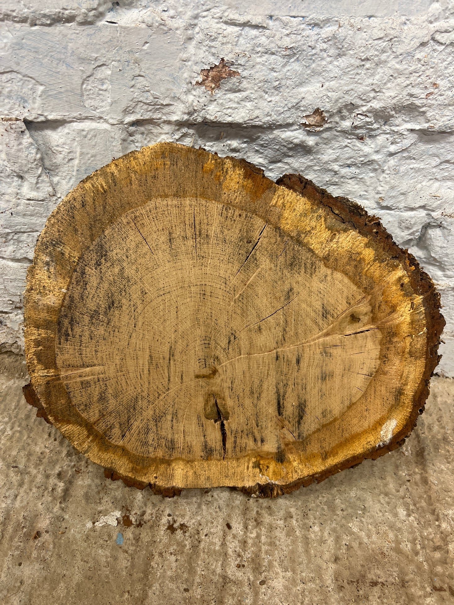 Oak No 198 - 390x330x45mm Sawn