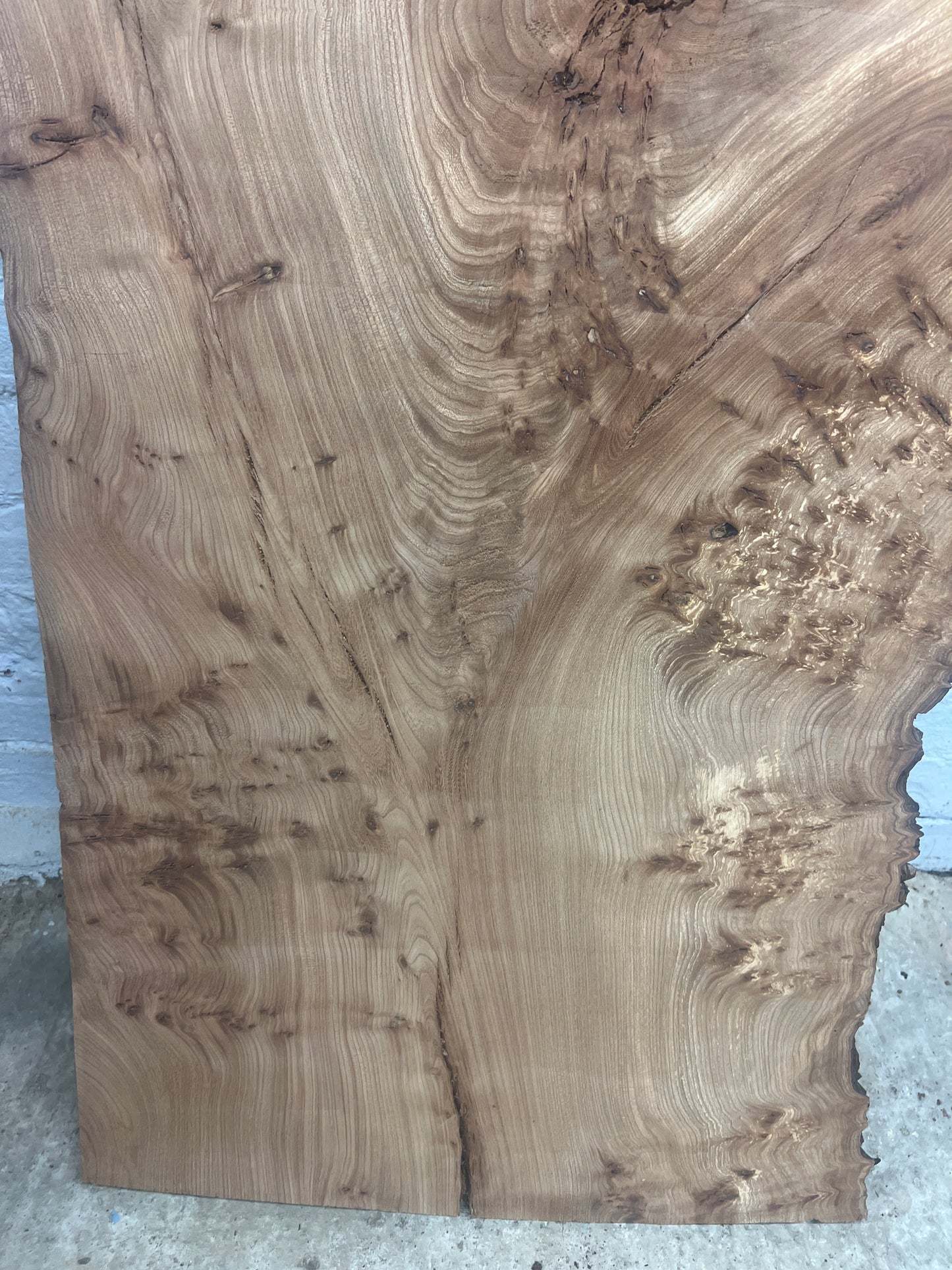 Elm No 55 - 1240x510-640x25mm Planed