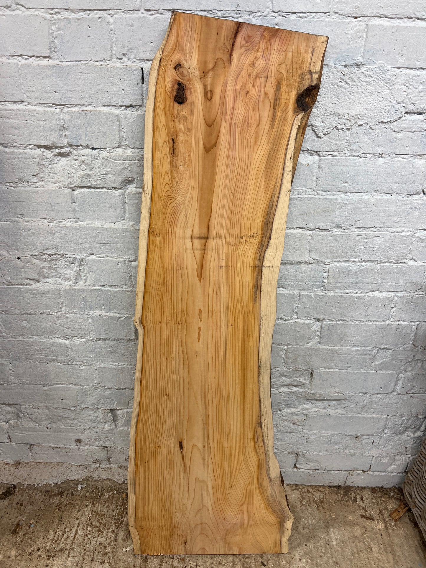 Yew No 193 - 1270x280-440x36mm Planed