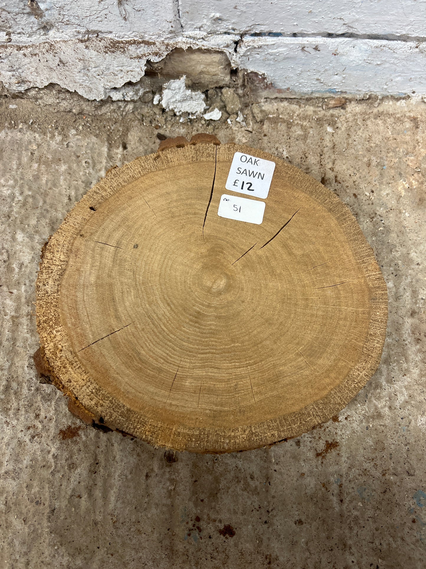 Oak Round No 51 - 280x260x50mm Sawn