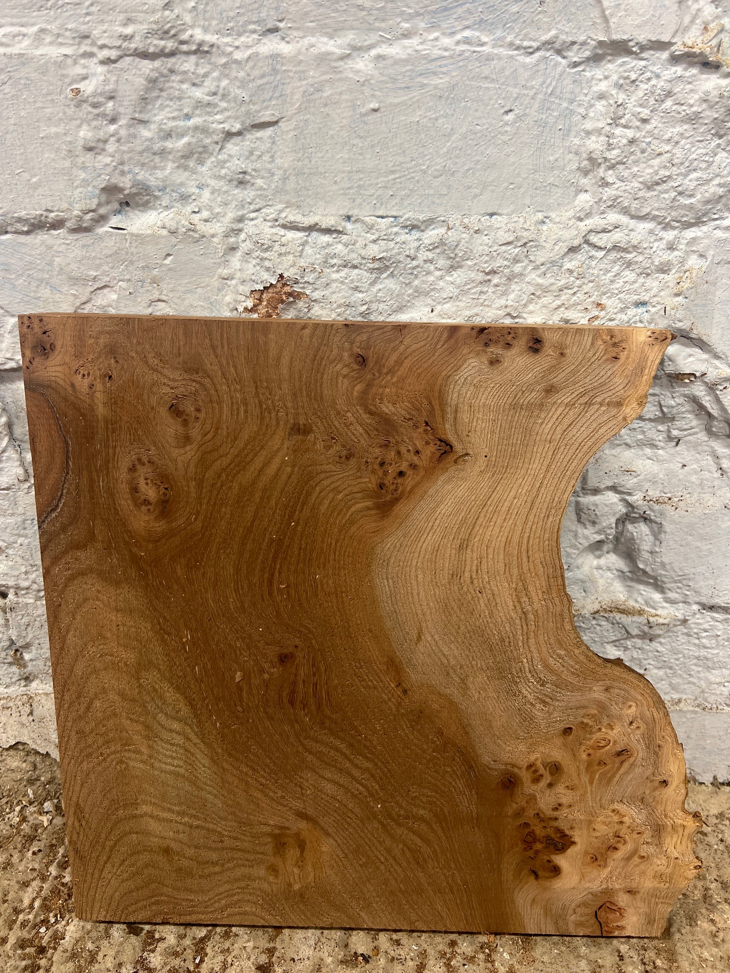 Burr Elm No 134 - 365x280-380x40mm Planed
