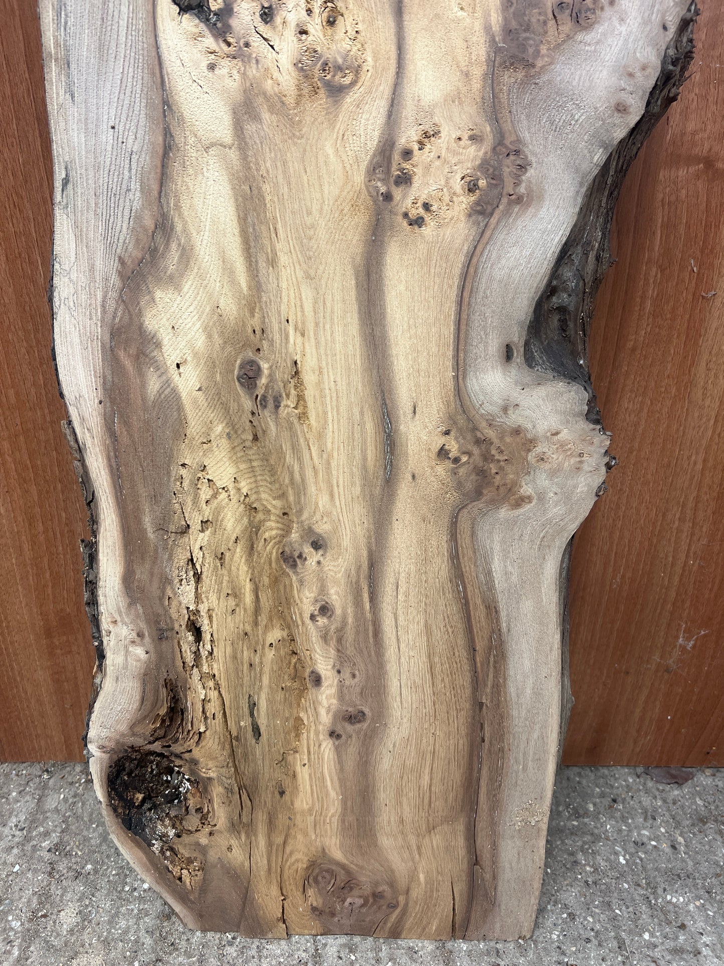 Elm No 72 - 1035x290-360x40mm Planed