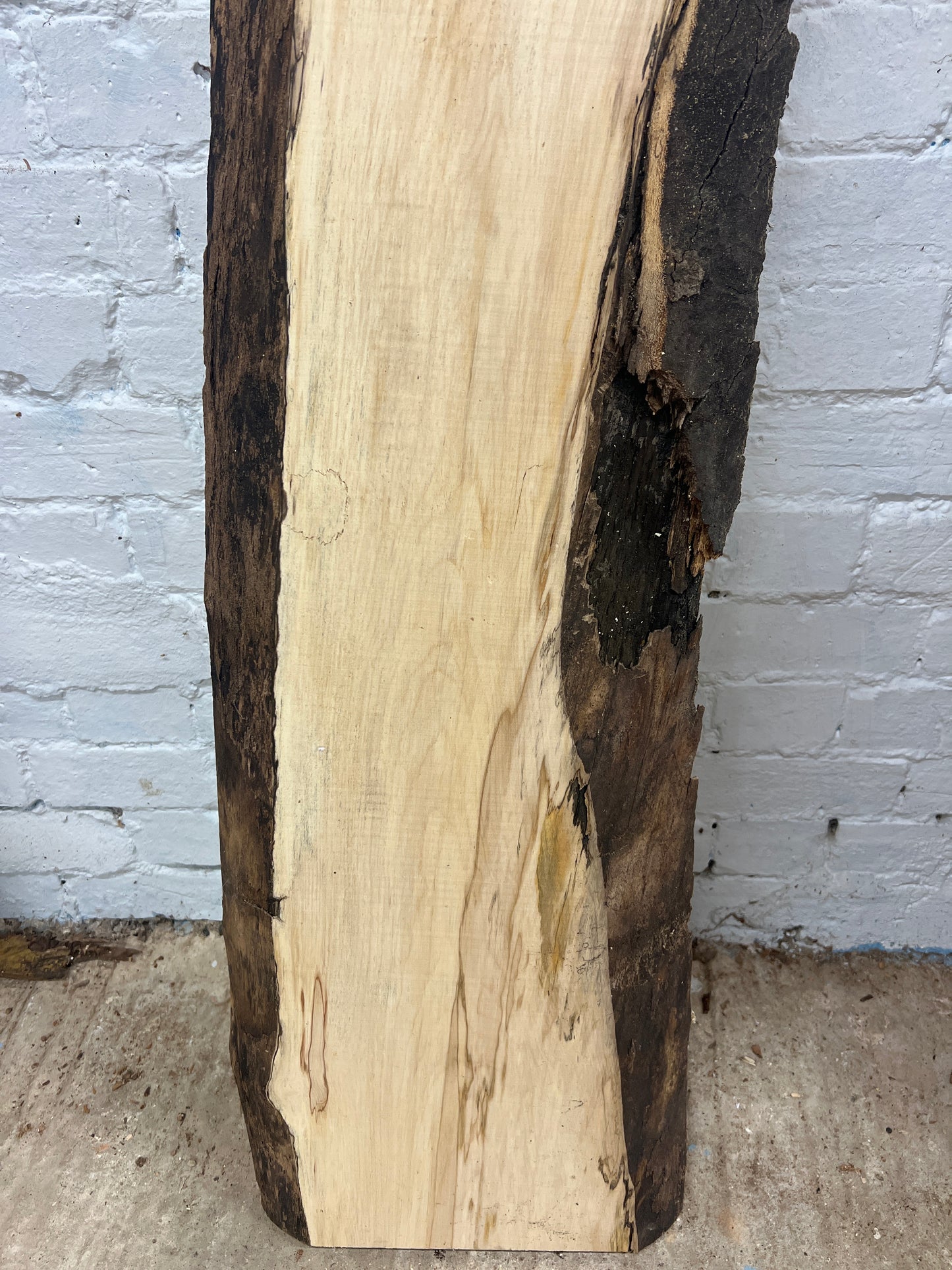 Sycamore No 7 - 1590x220-325x38mm Planed