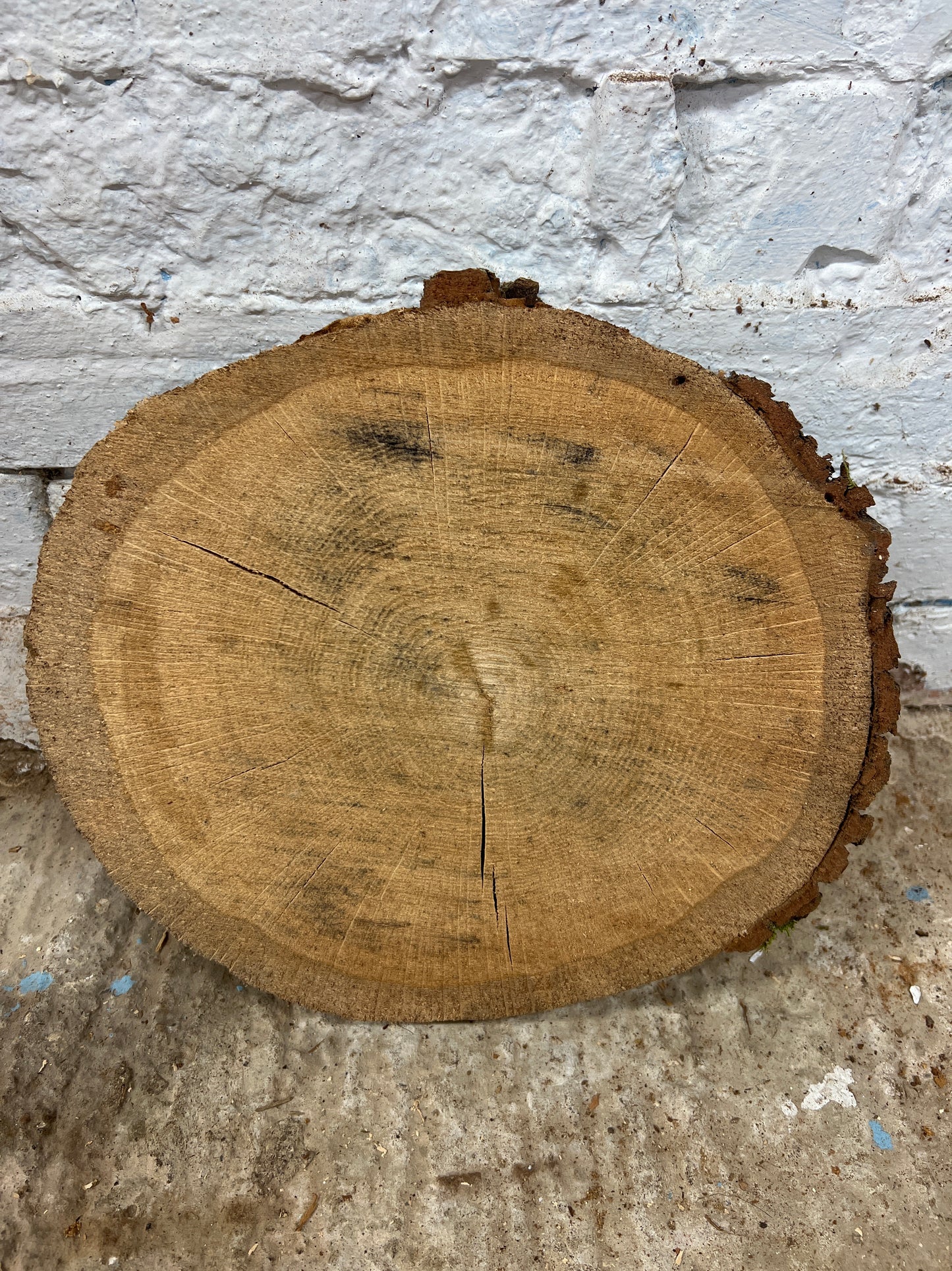 Oak No 198 - 320x270x60mm Sawn