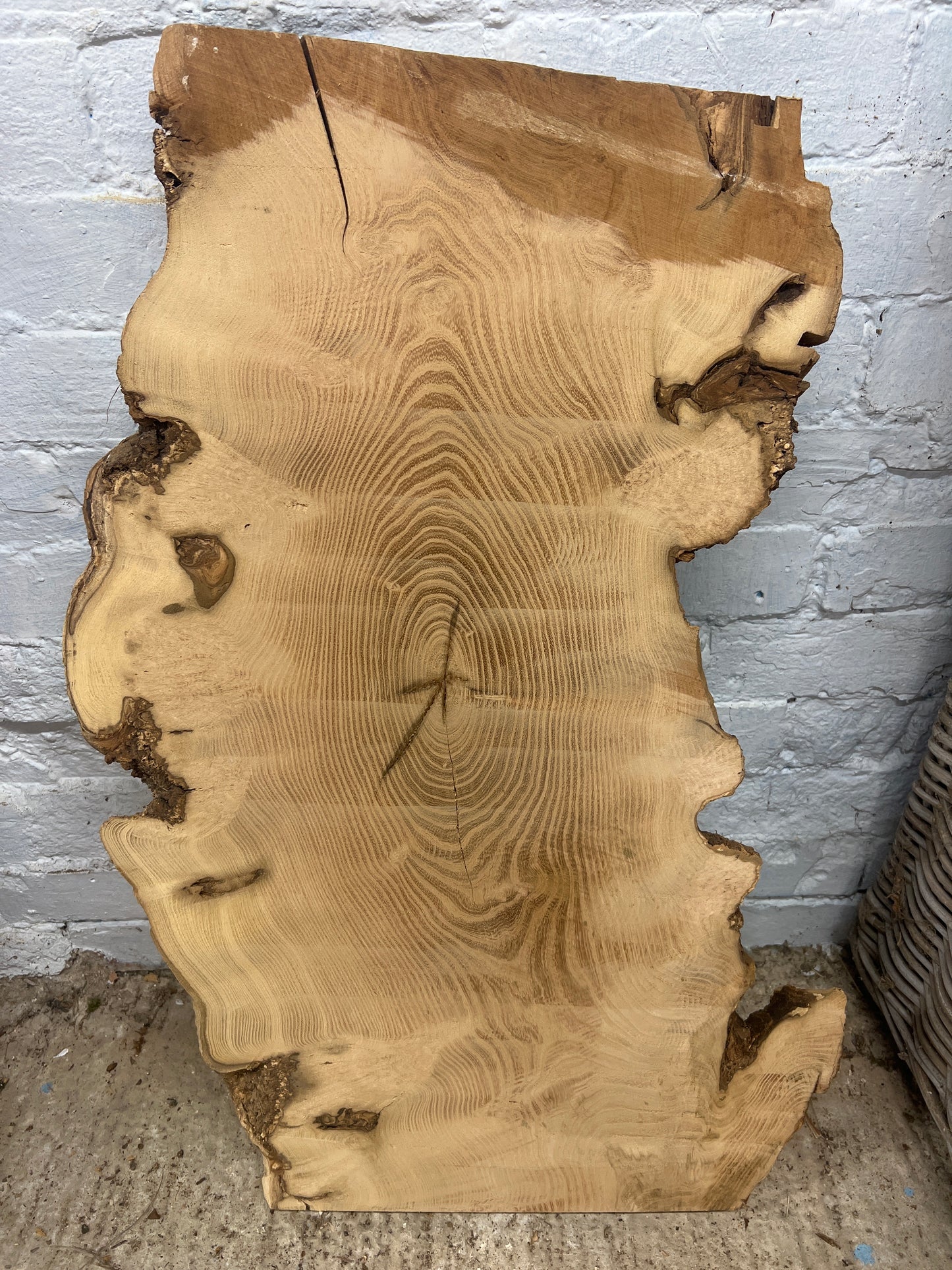 Chestnut No 43 - 795x320-460x60mm Planed
