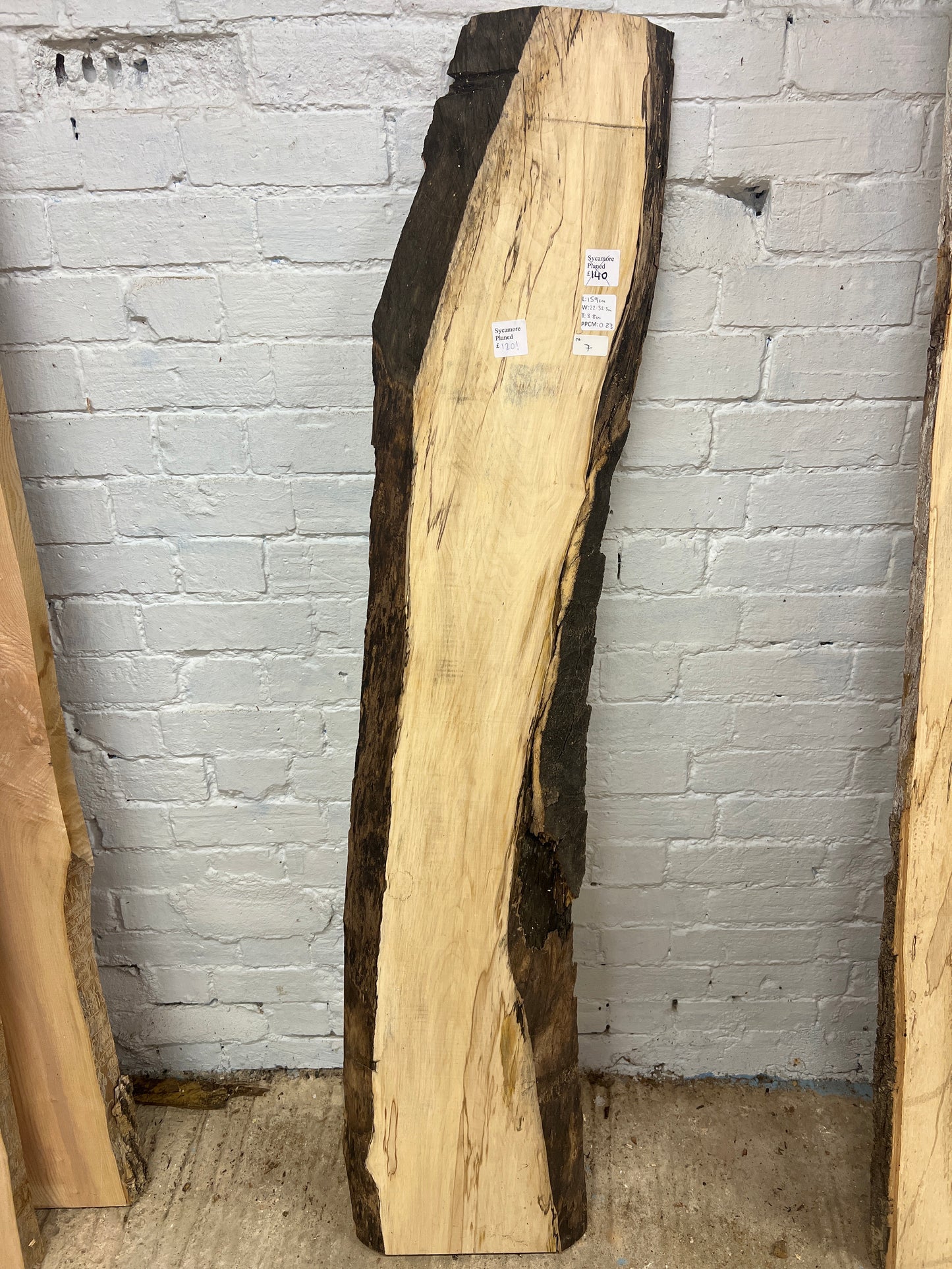Sycamore No 7 - 1590x220-325x38mm Planed