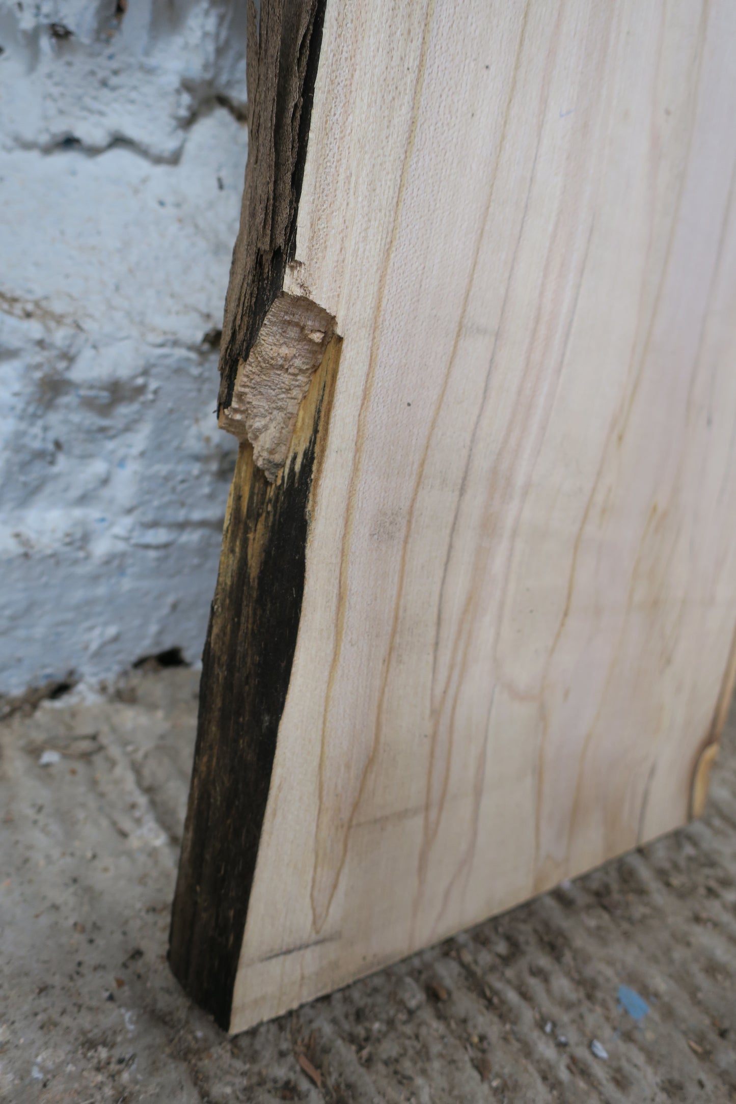 Beech No 6 - 492x260-270x33mm Planed