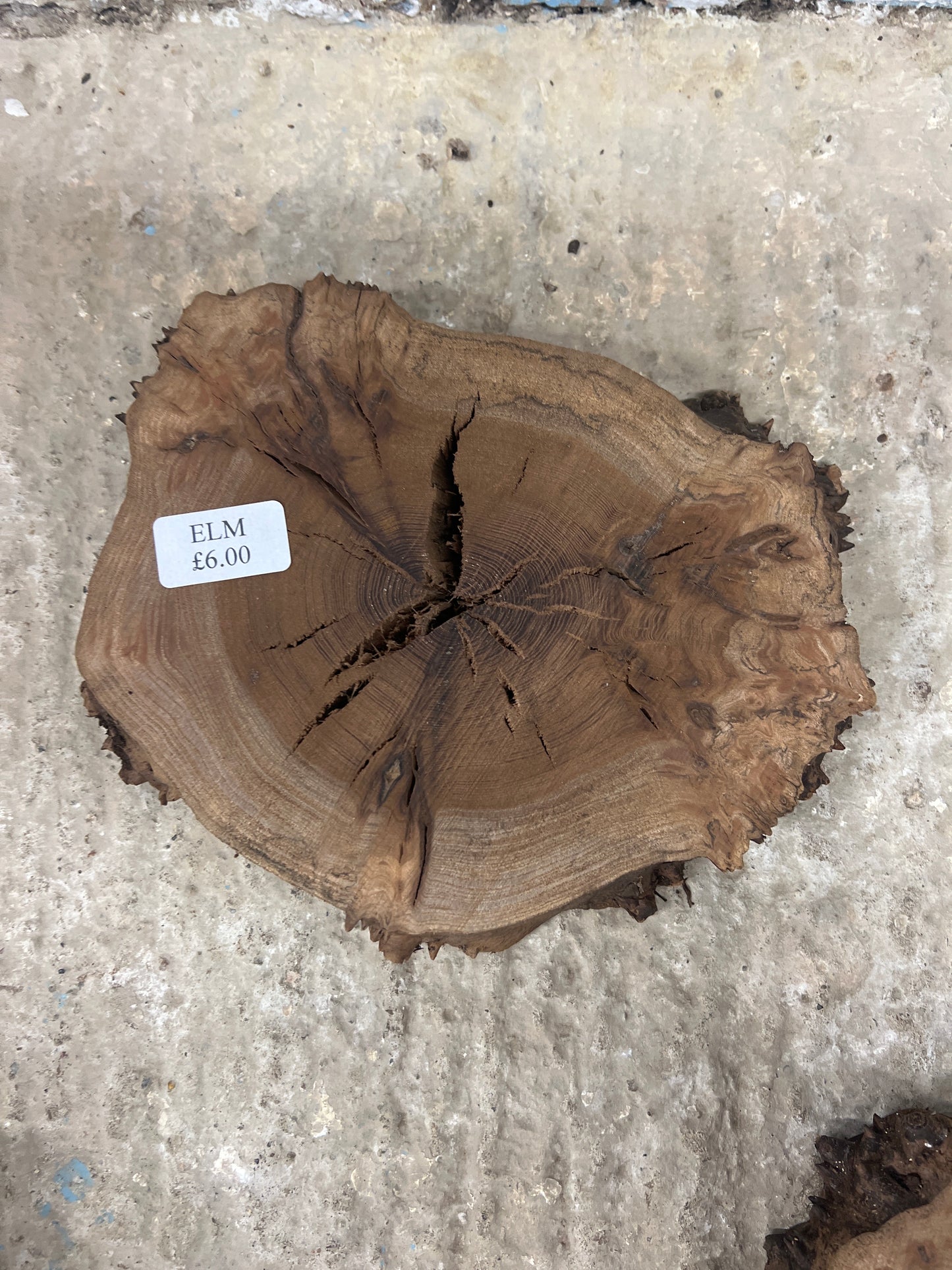 Burr Elm Rounds - 220x170x30mm Sawn