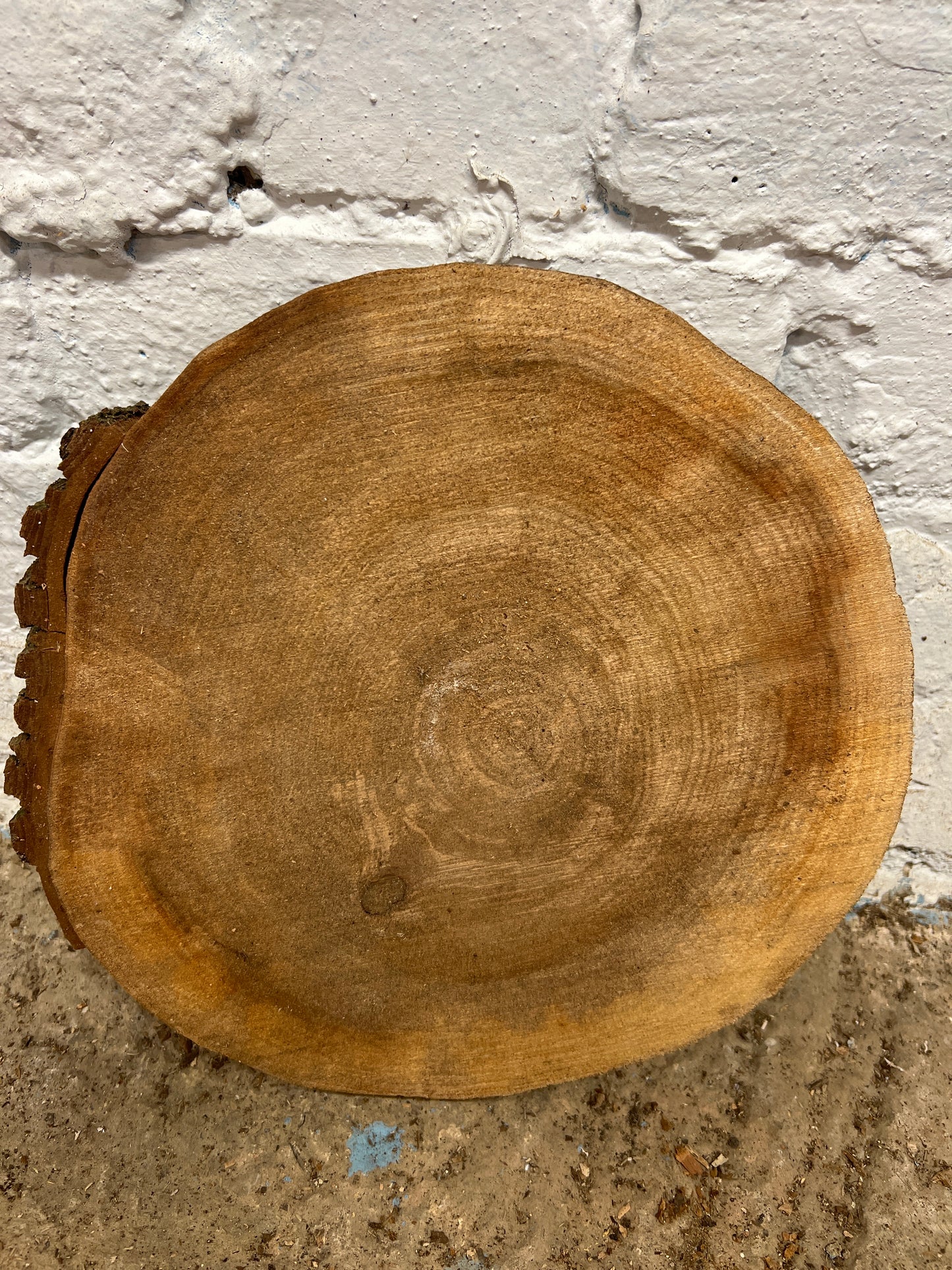 Elm No 140 - 250x250x40mm Sawn