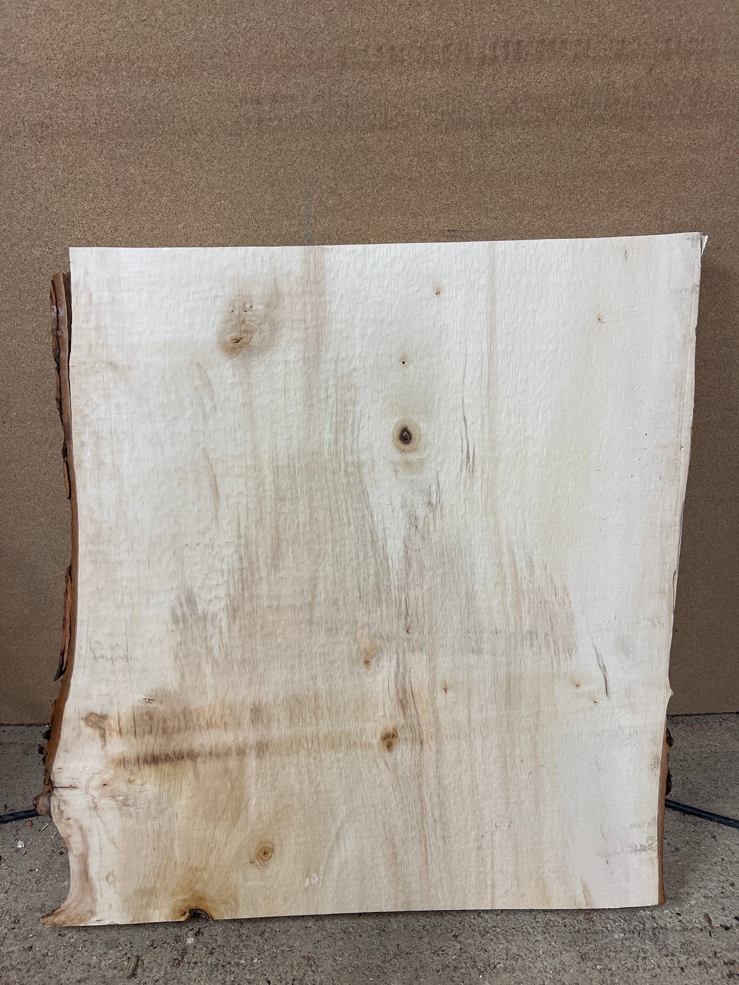 Horse Chestnut No 130 - 592x520-550x46mm Planed