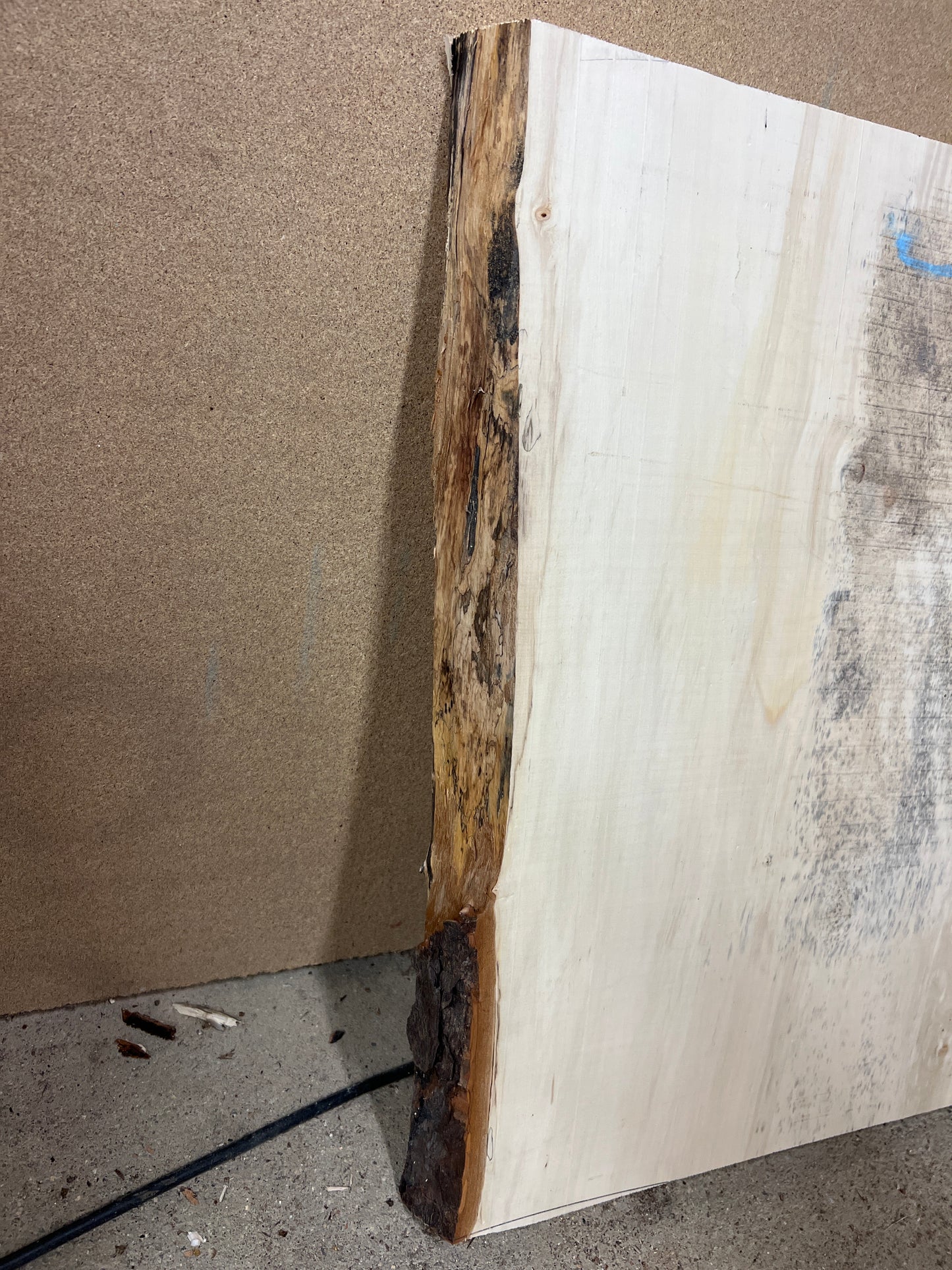Horse Chestnut No 130 - 592x520-550x46mm Planed