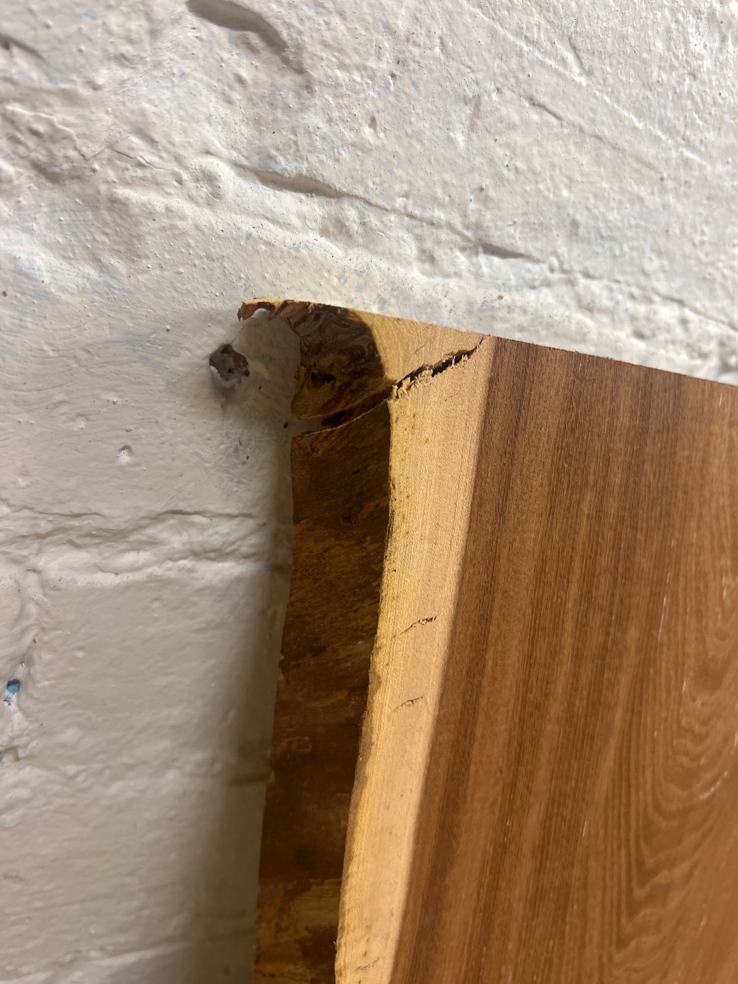 Elm No 13 - 840x250-330x31mm Planed