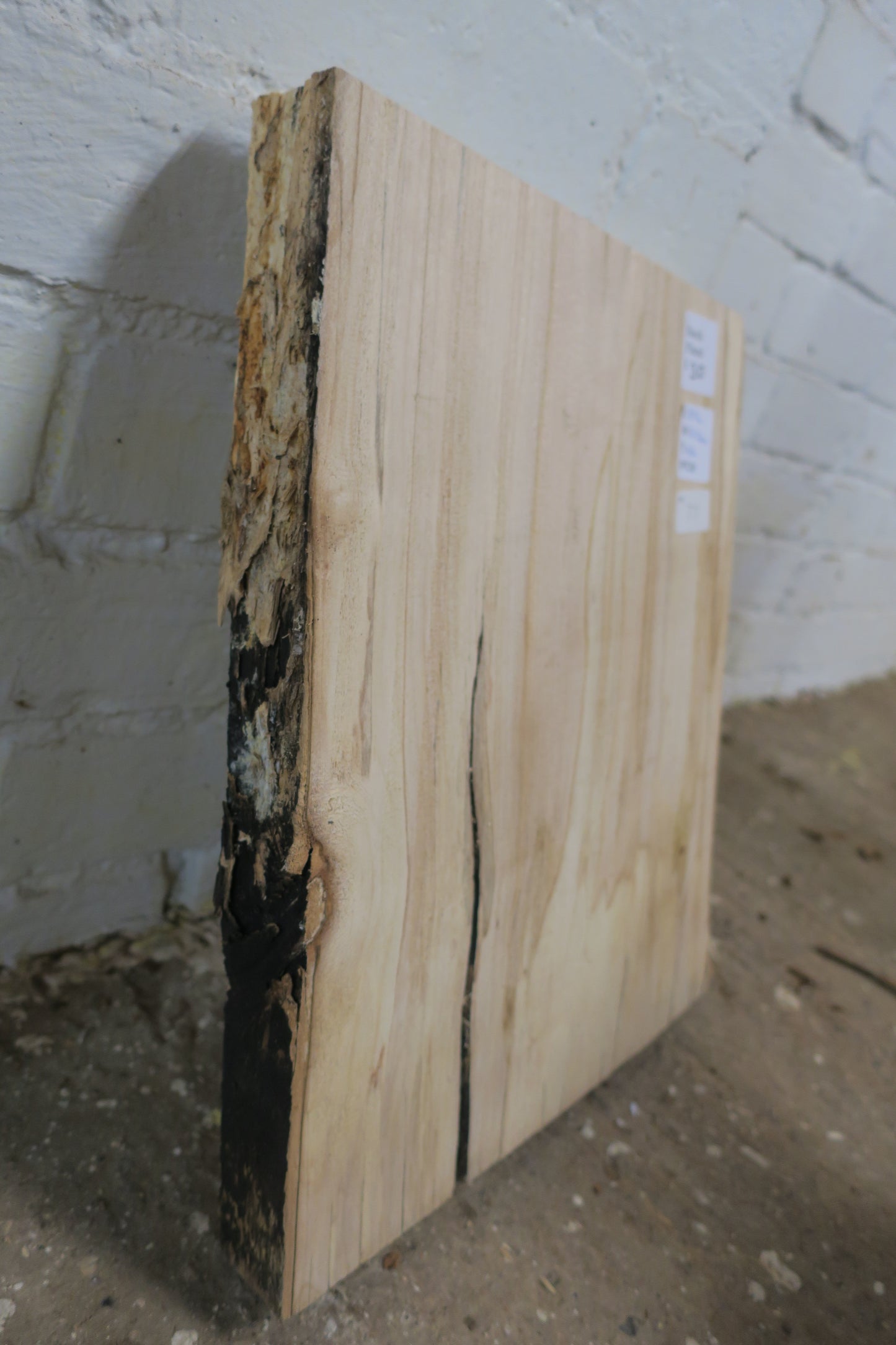 Beech No 77 - 395x310-340x48mm Planed