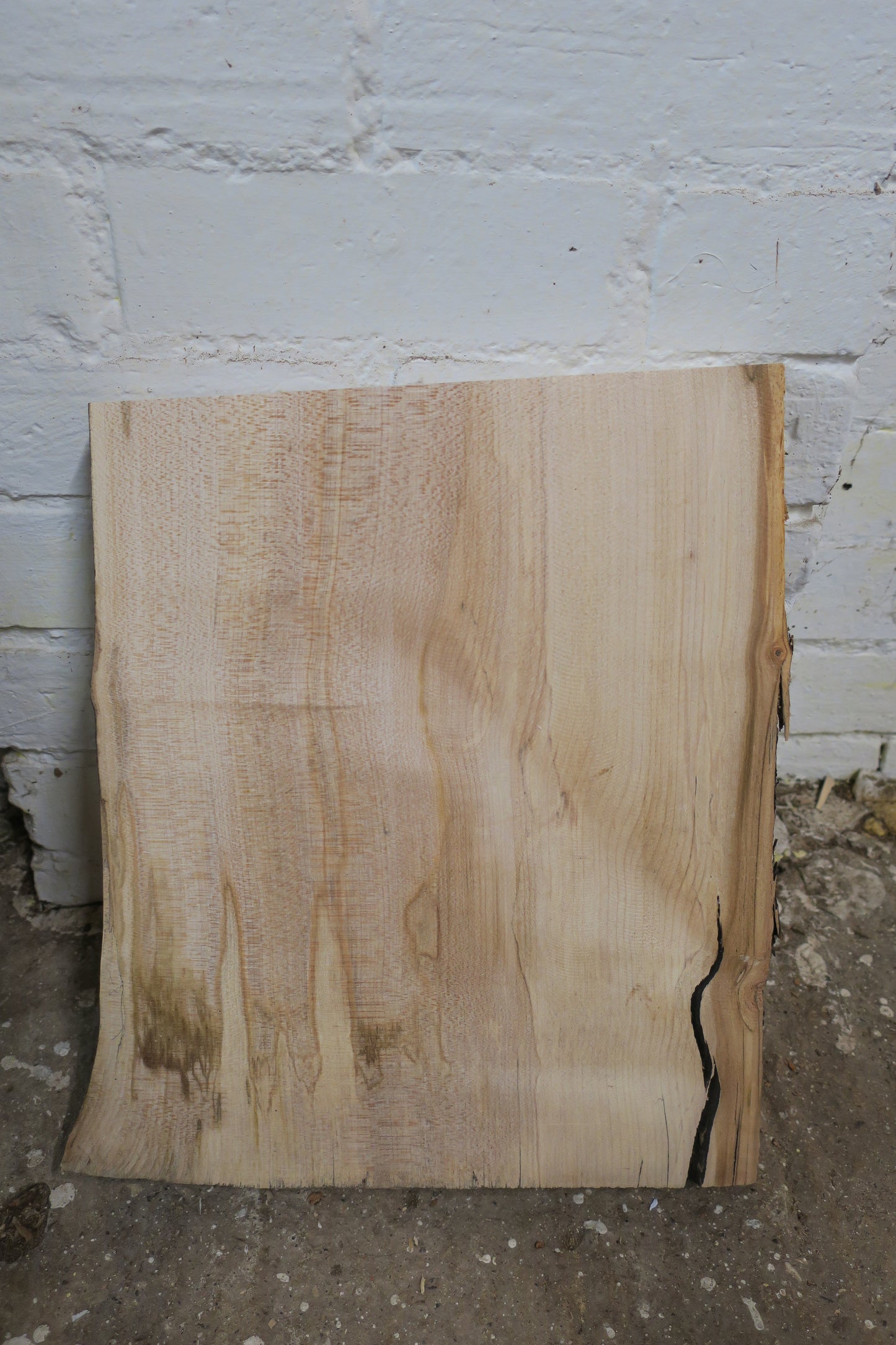 Beech No 77 - 395x310-340x48mm Planed