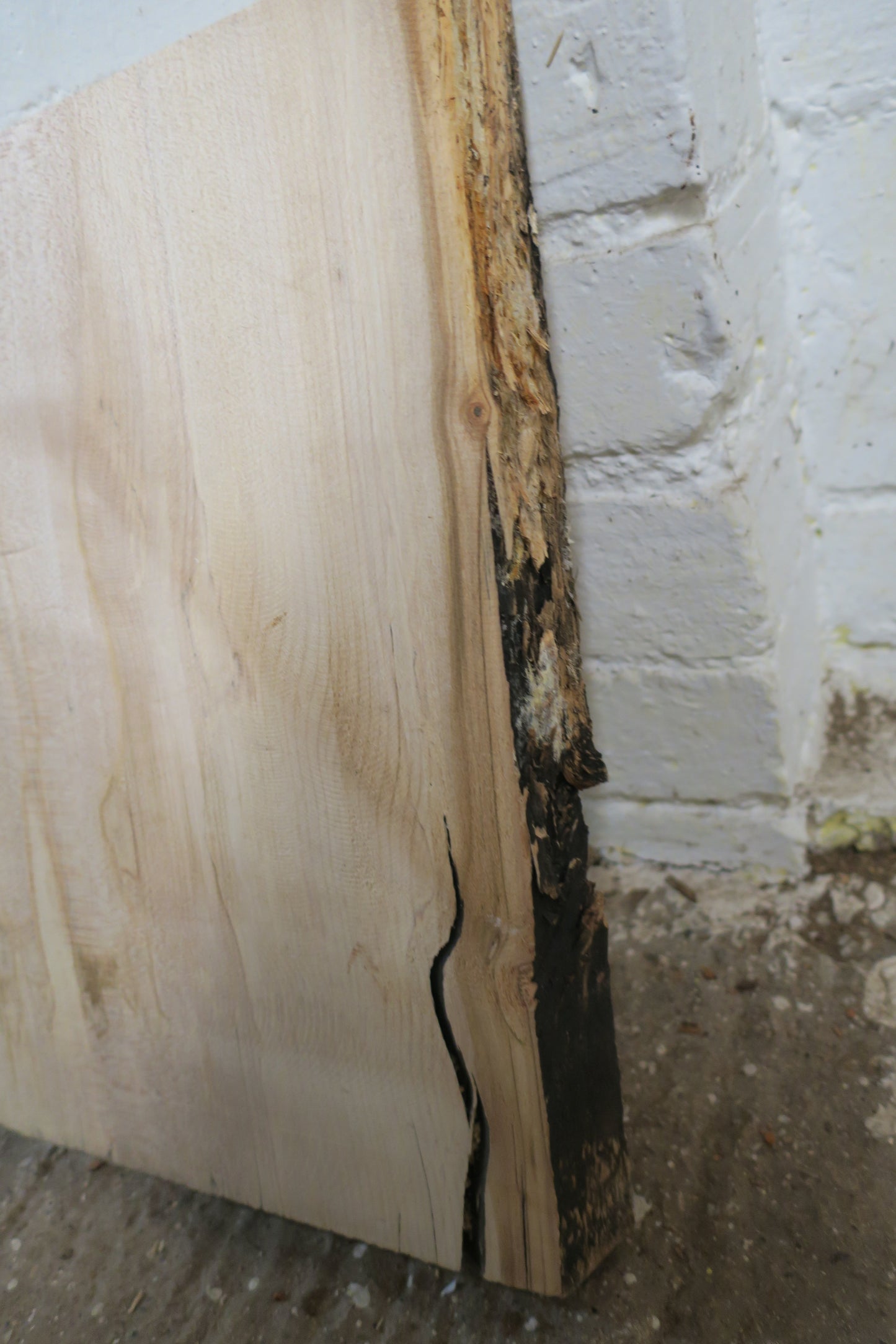 Beech No 77 - 395x310-340x48mm Planed