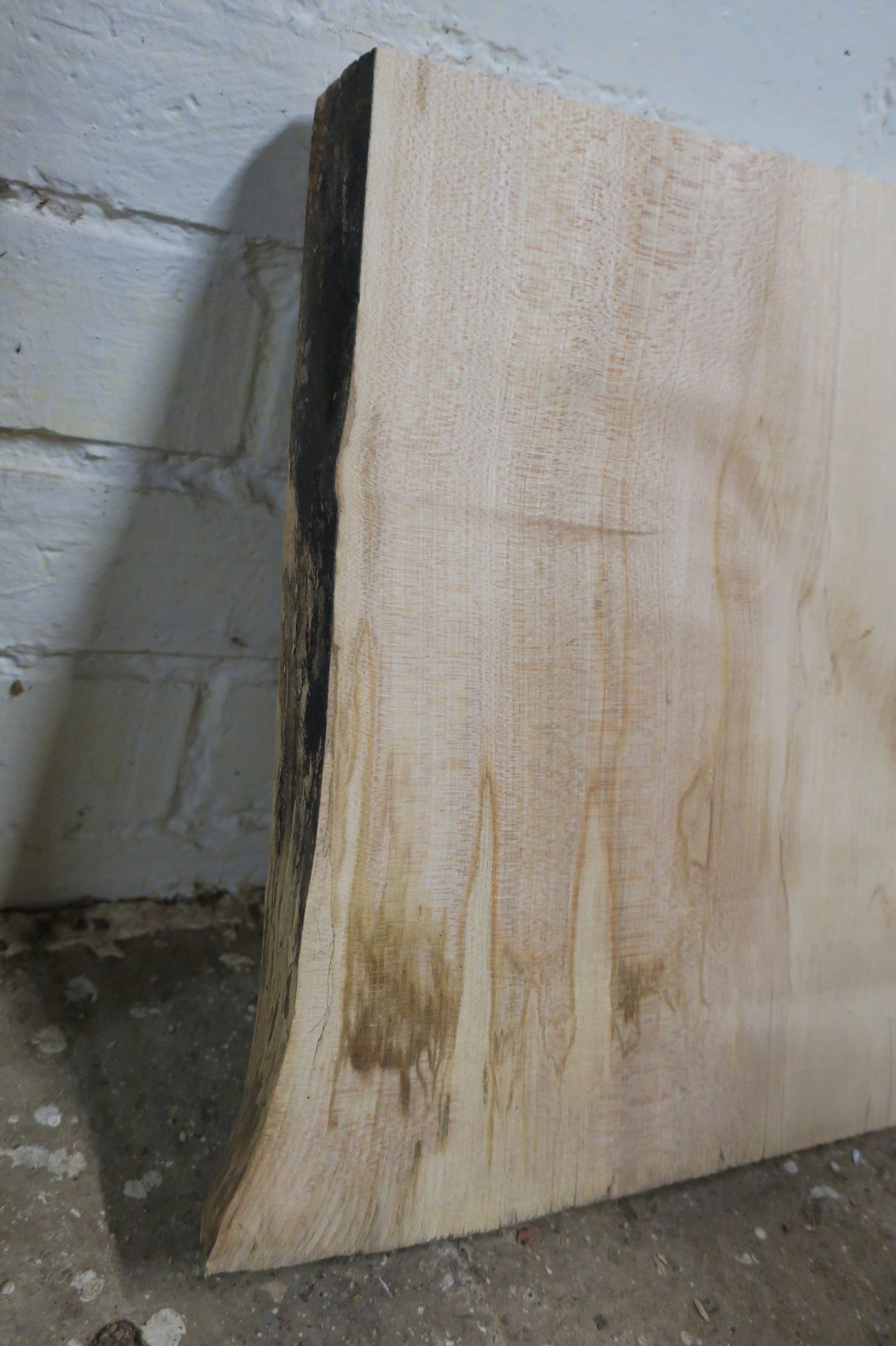 Beech No 77 - 395x310-340x48mm Planed