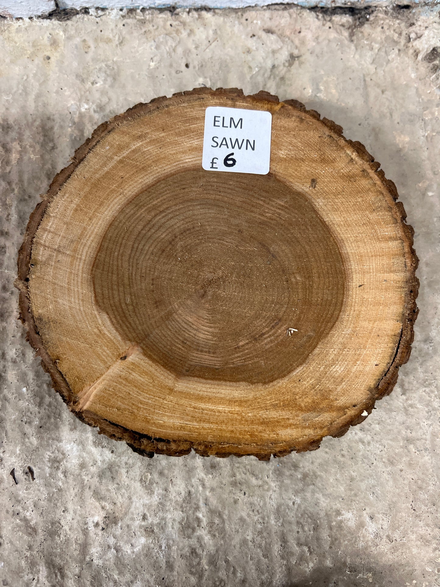 Elm Rounds - 210x200x40-50mm Sawn
