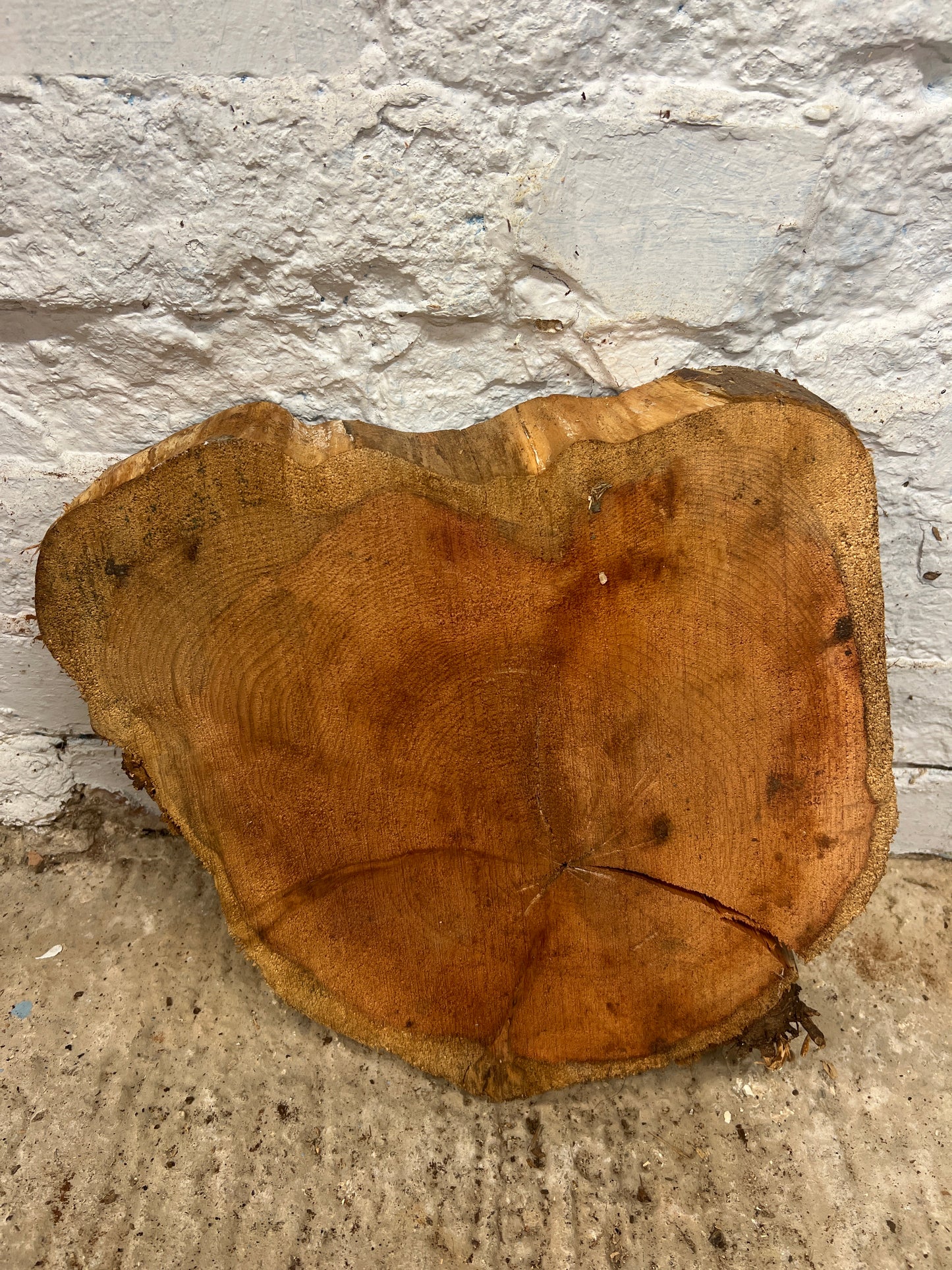 Yew No 95 - 290x320x50mm Planed