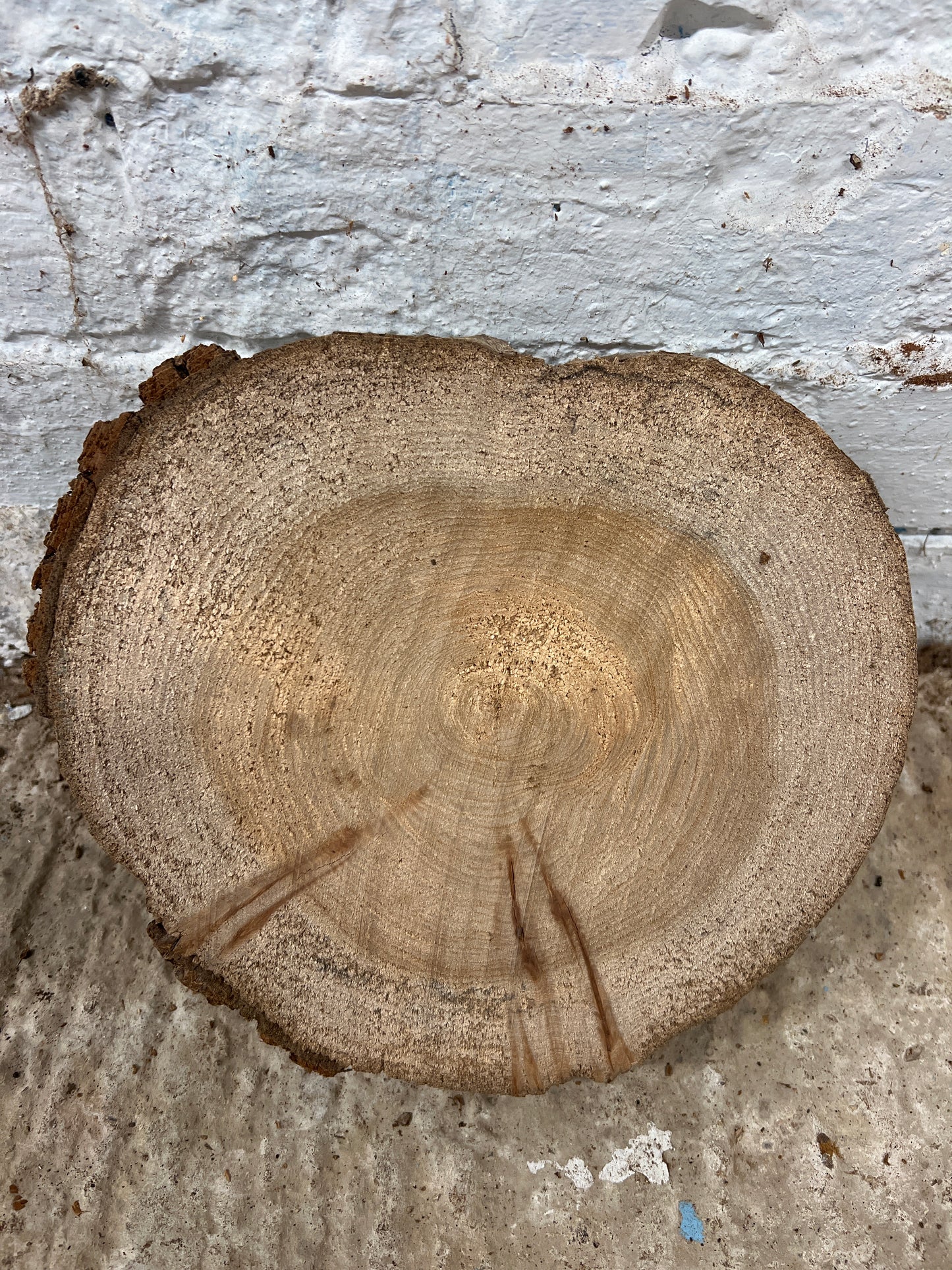 Elm No 140 - 250x230x40mm Sawn