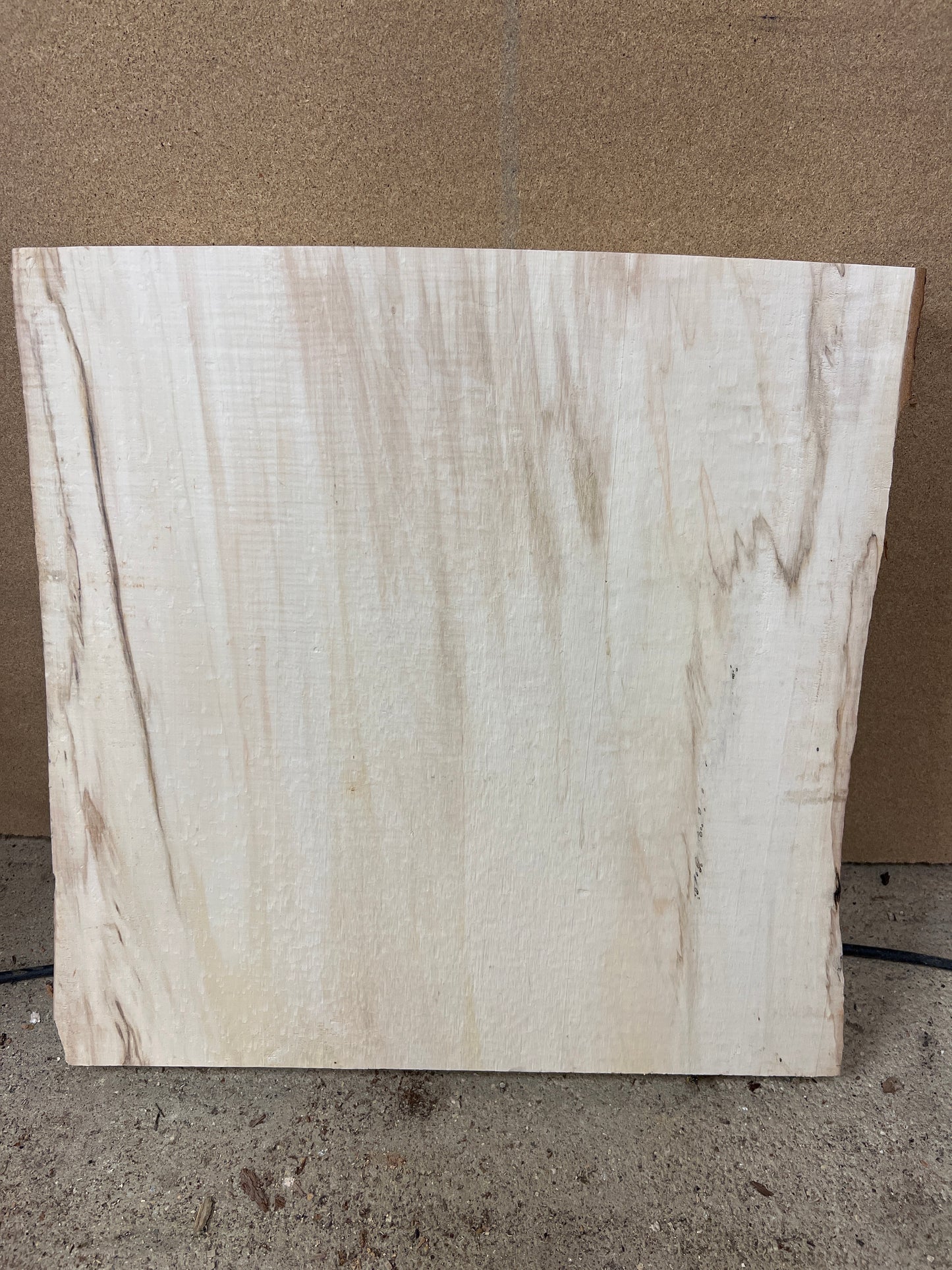 Horse Chestnut No 126 - 485x460-490x46mm Planed
