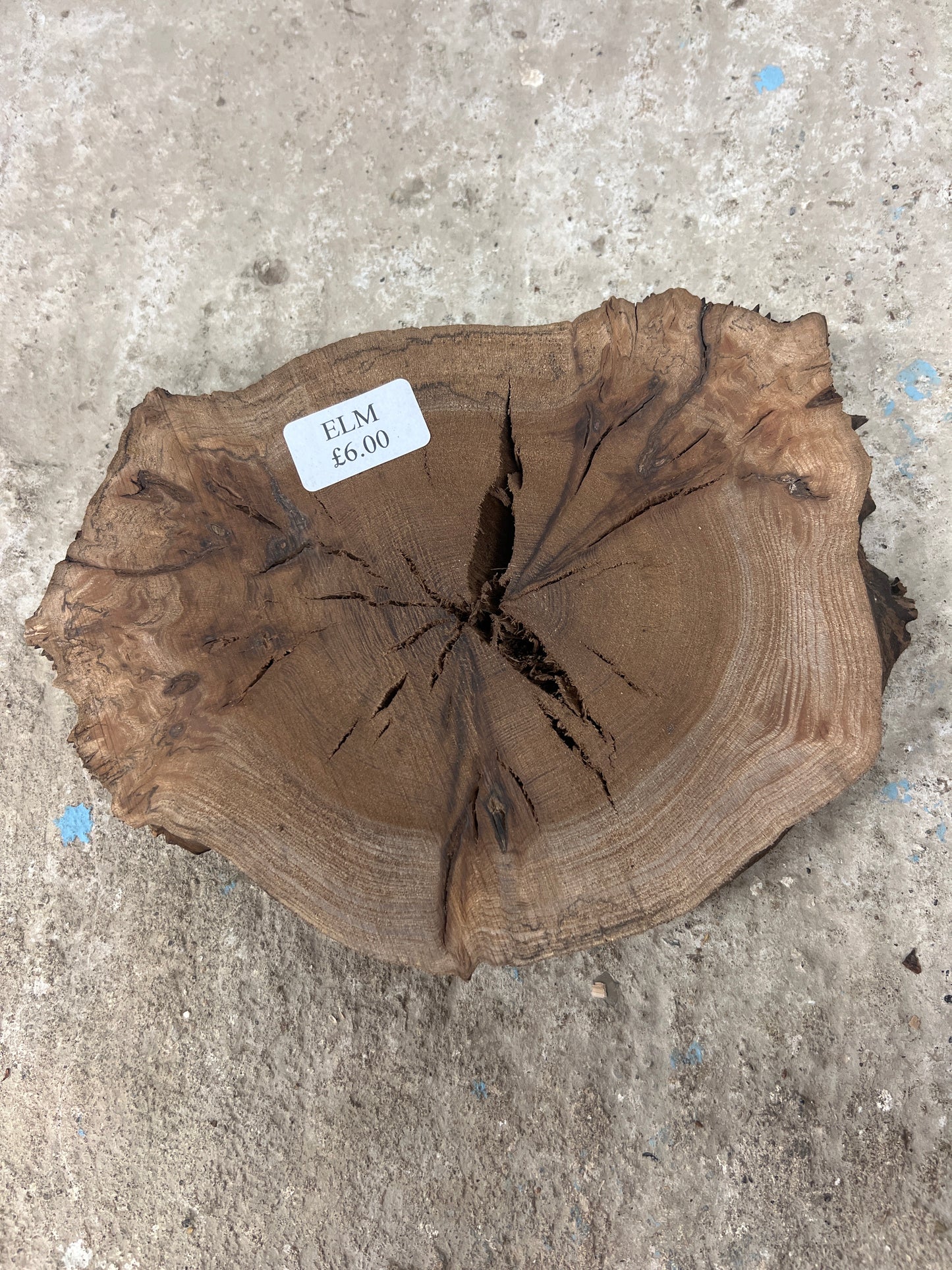 Burr Elm Rounds - 220x170x30mm Sawn