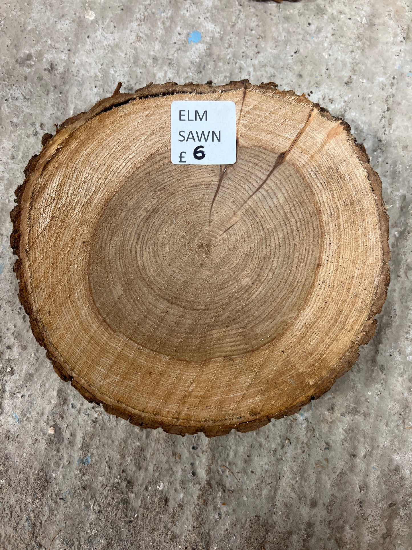 Elm Rounds - 210x200x40-50mm Sawn